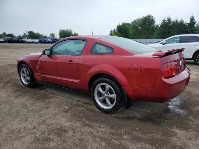 Photo 1 VIN: 1ZVFT80N465137141 - FORD MUSTANG 