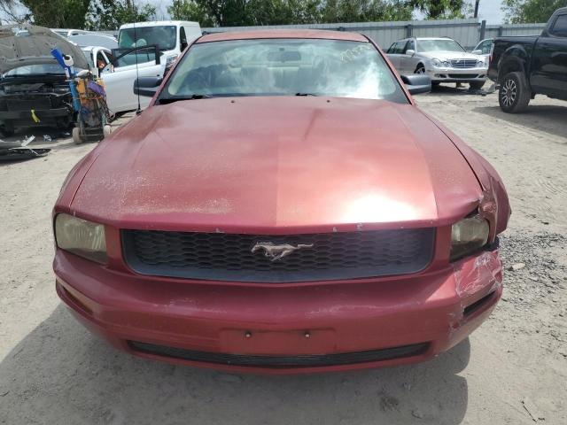 Photo 4 VIN: 1ZVFT80N465165859 - FORD MUSTANG 