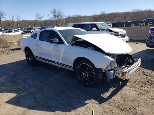 Photo 3 VIN: 1ZVFT80N555208572 - FORD MUSTANG 