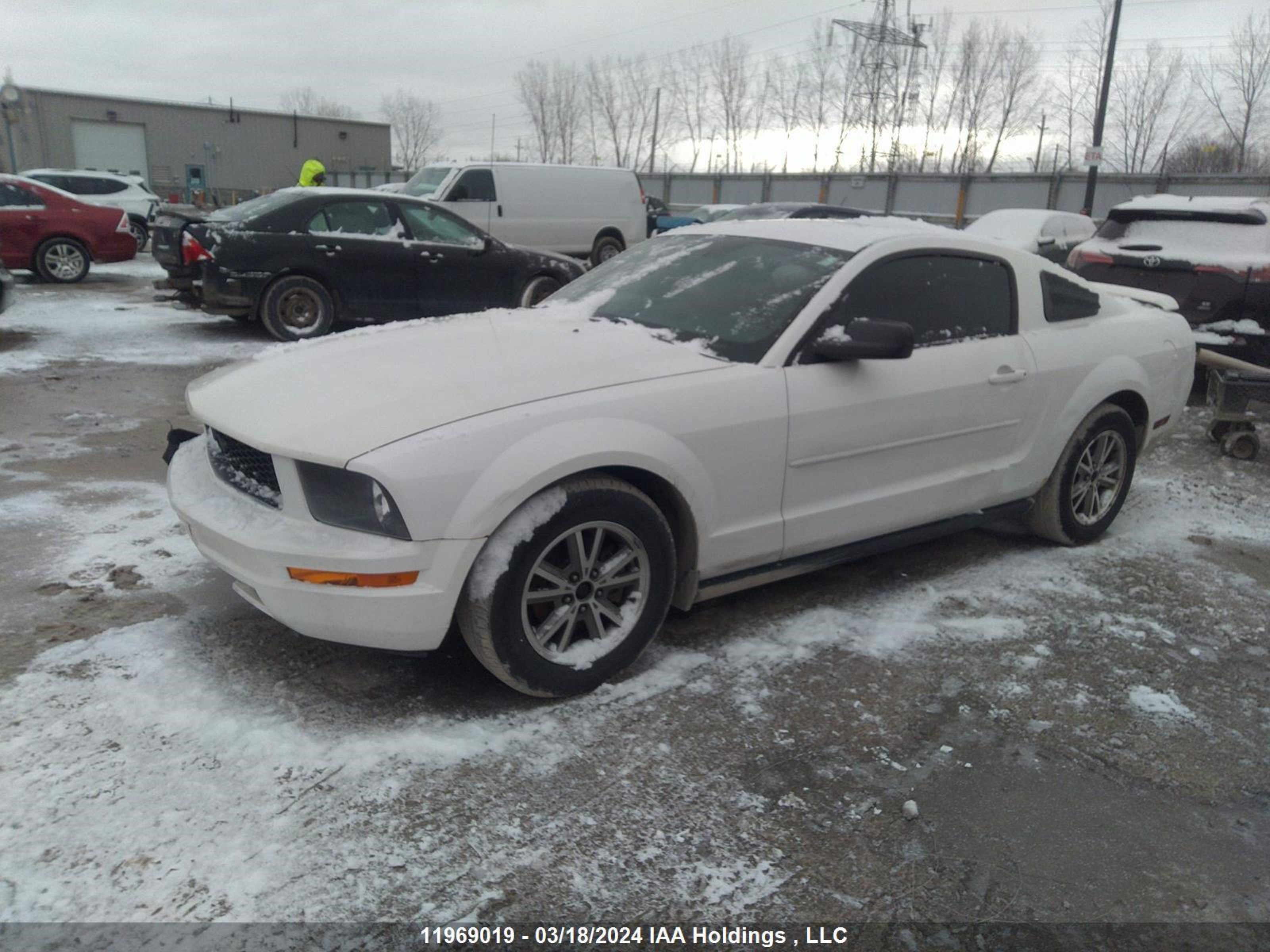 Photo 1 VIN: 1ZVFT80N555217692 - FORD MUSTANG 