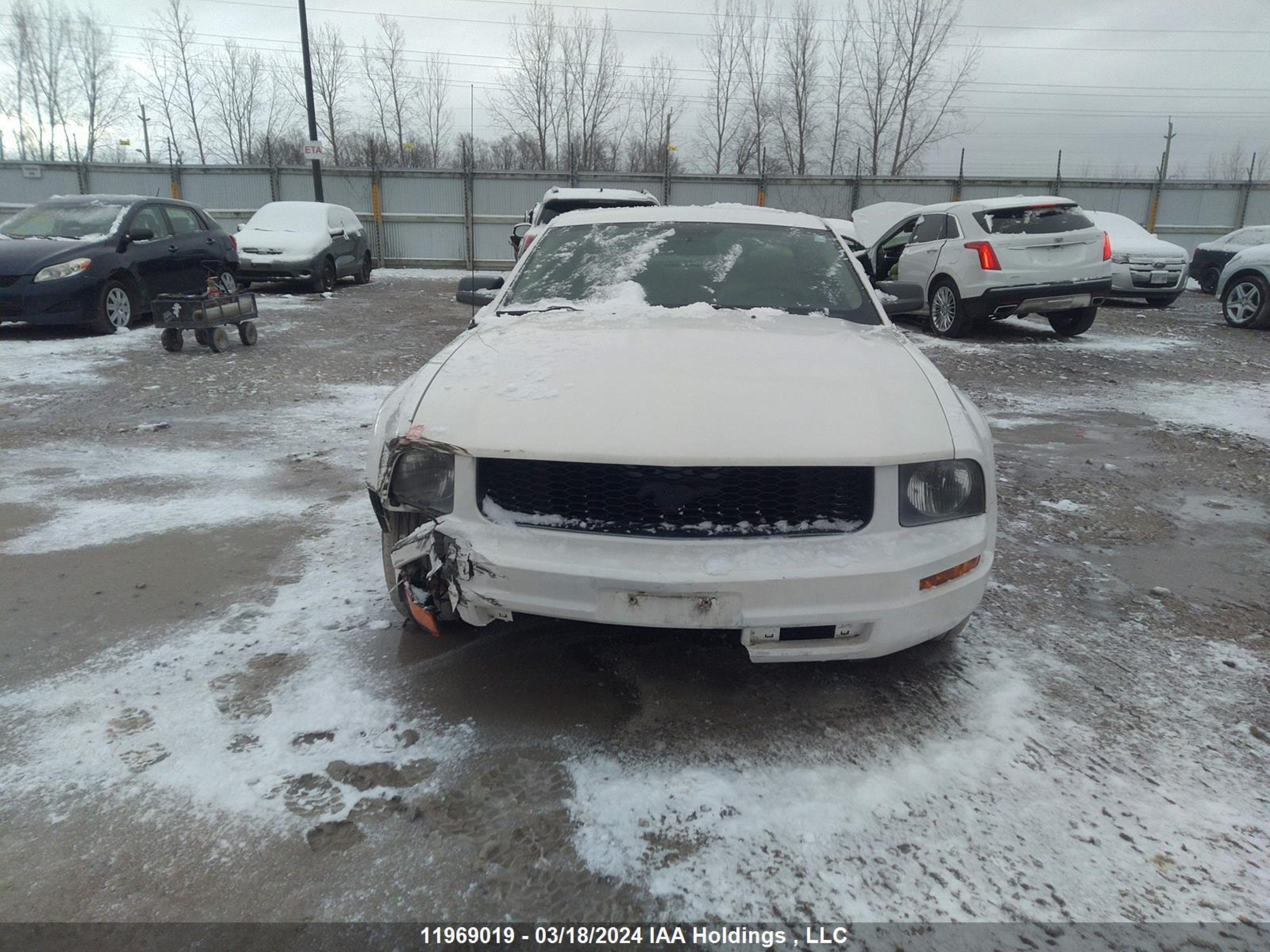 Photo 11 VIN: 1ZVFT80N555217692 - FORD MUSTANG 