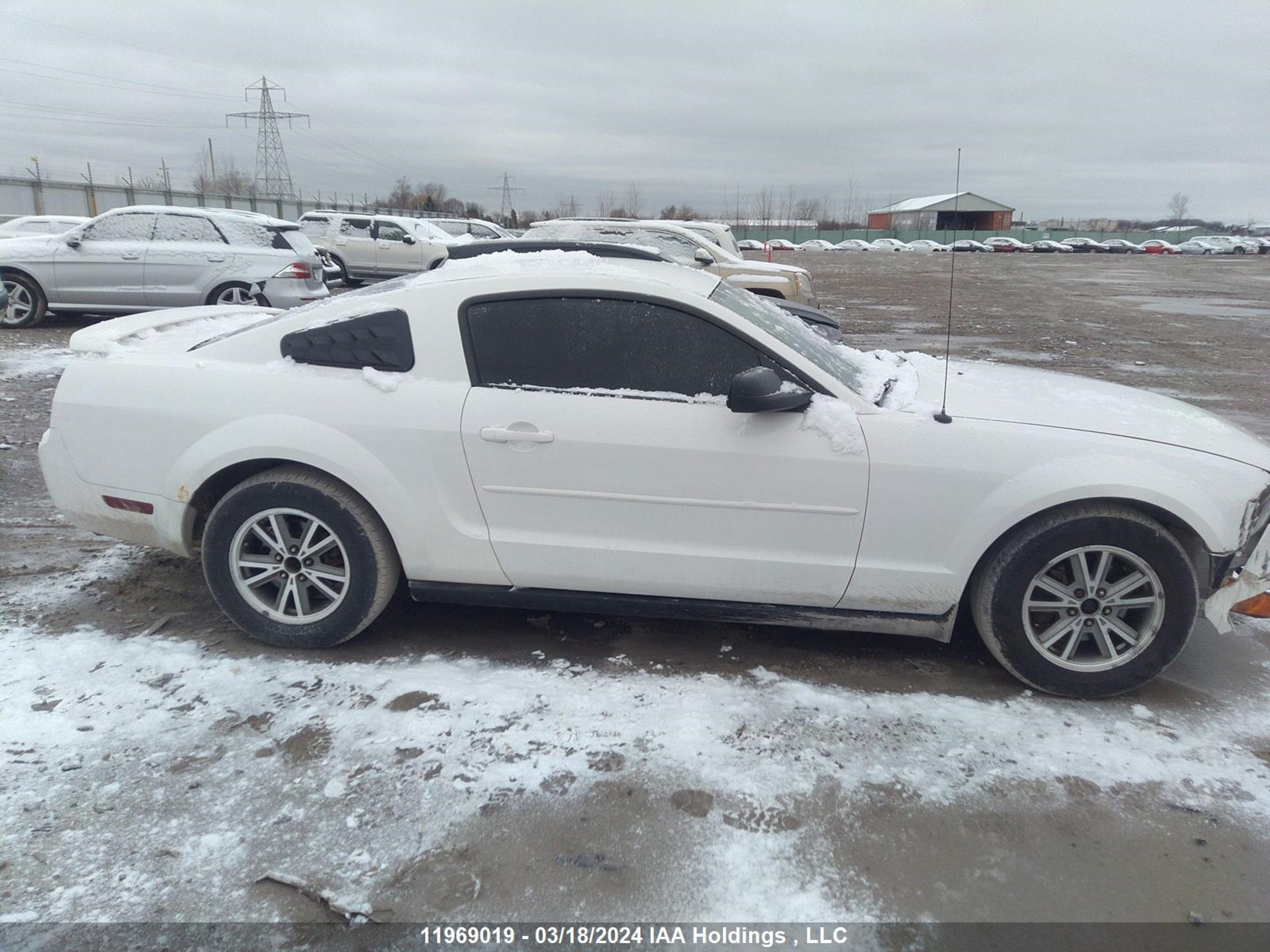 Photo 12 VIN: 1ZVFT80N555217692 - FORD MUSTANG 