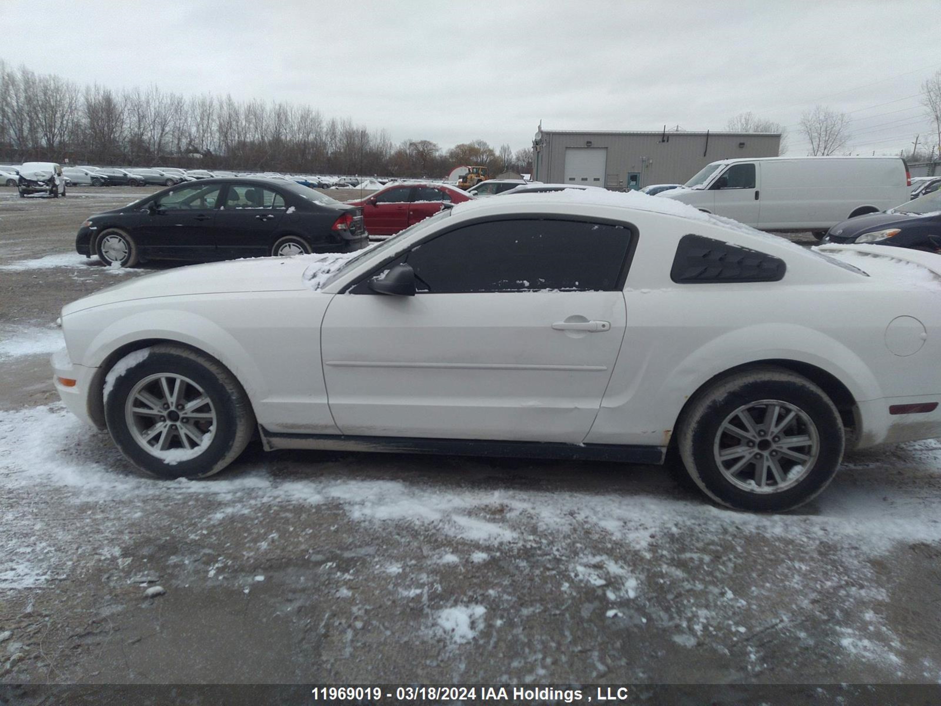 Photo 13 VIN: 1ZVFT80N555217692 - FORD MUSTANG 