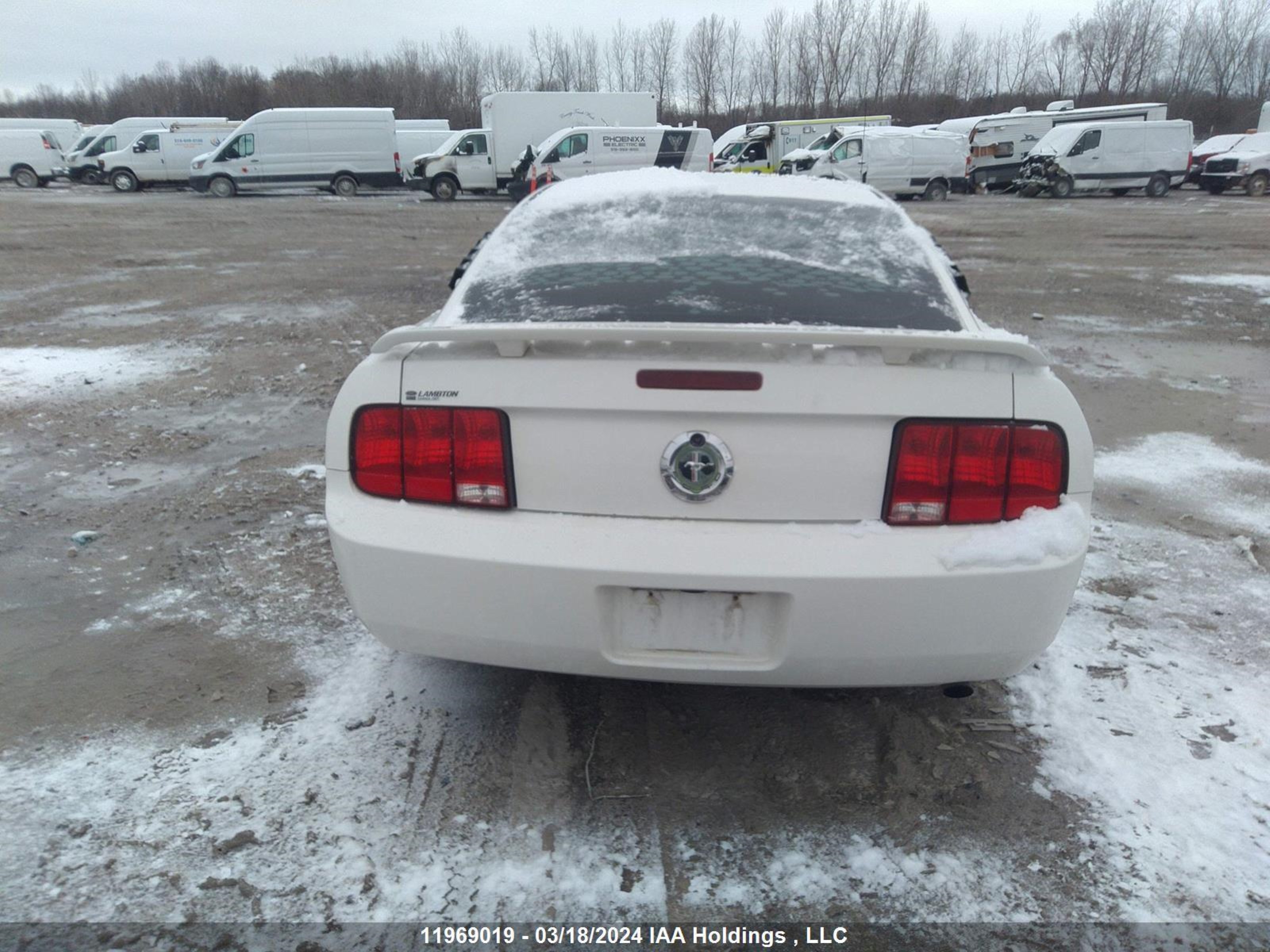 Photo 15 VIN: 1ZVFT80N555217692 - FORD MUSTANG 