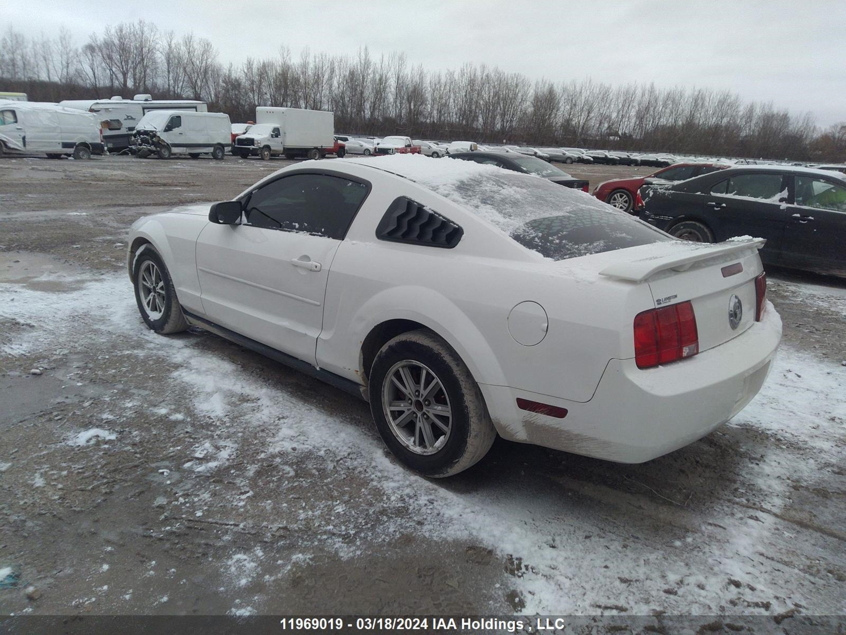 Photo 2 VIN: 1ZVFT80N555217692 - FORD MUSTANG 