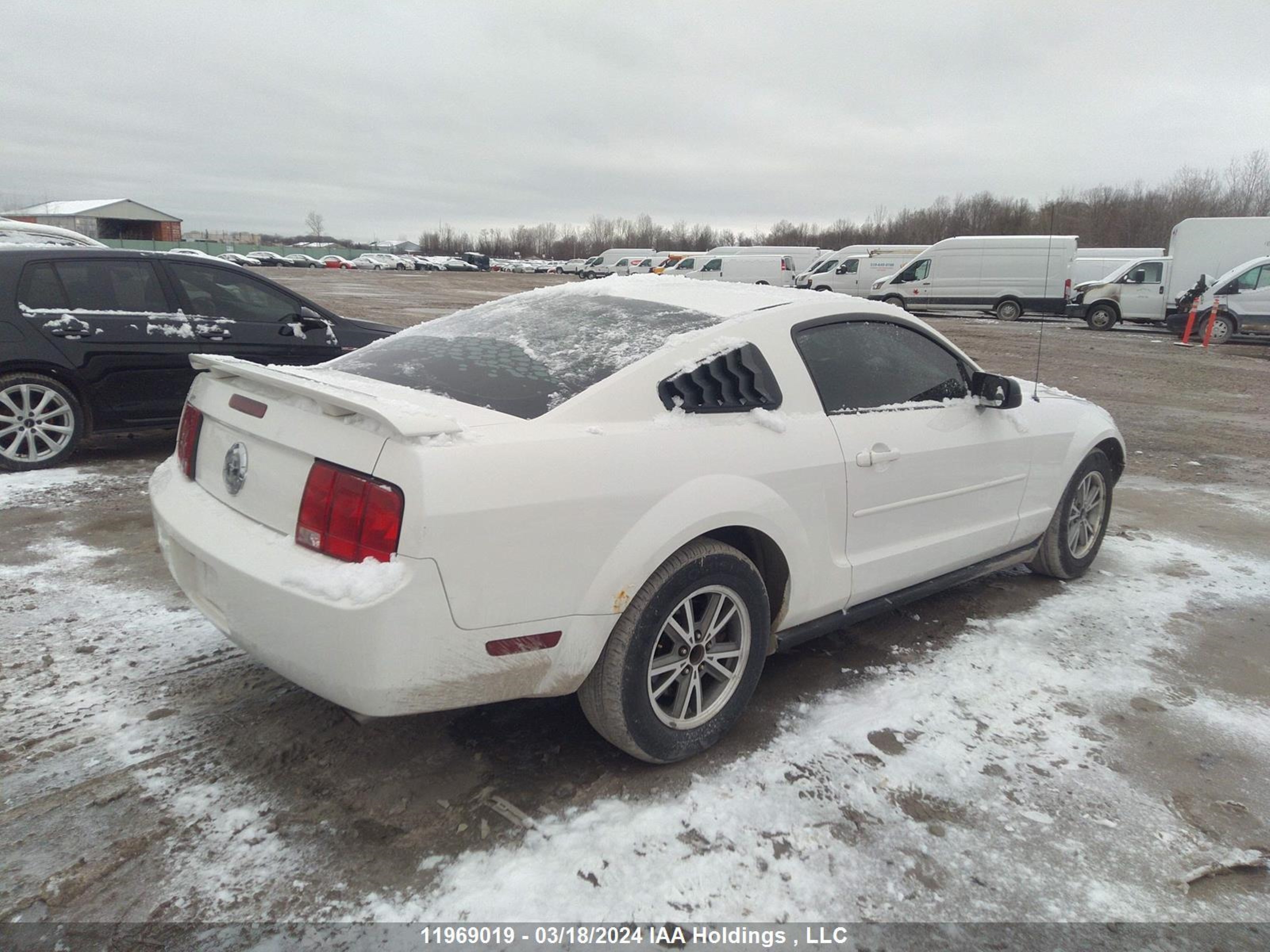 Photo 3 VIN: 1ZVFT80N555217692 - FORD MUSTANG 