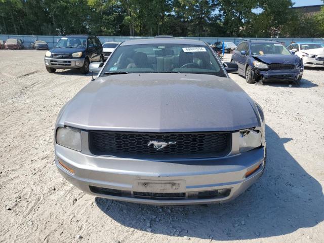 Photo 4 VIN: 1ZVFT80N565240892 - FORD MUSTANG 