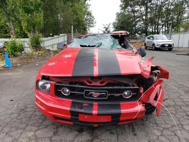 Photo 4 VIN: 1ZVFT80N575254745 - FORD MUSTANG 