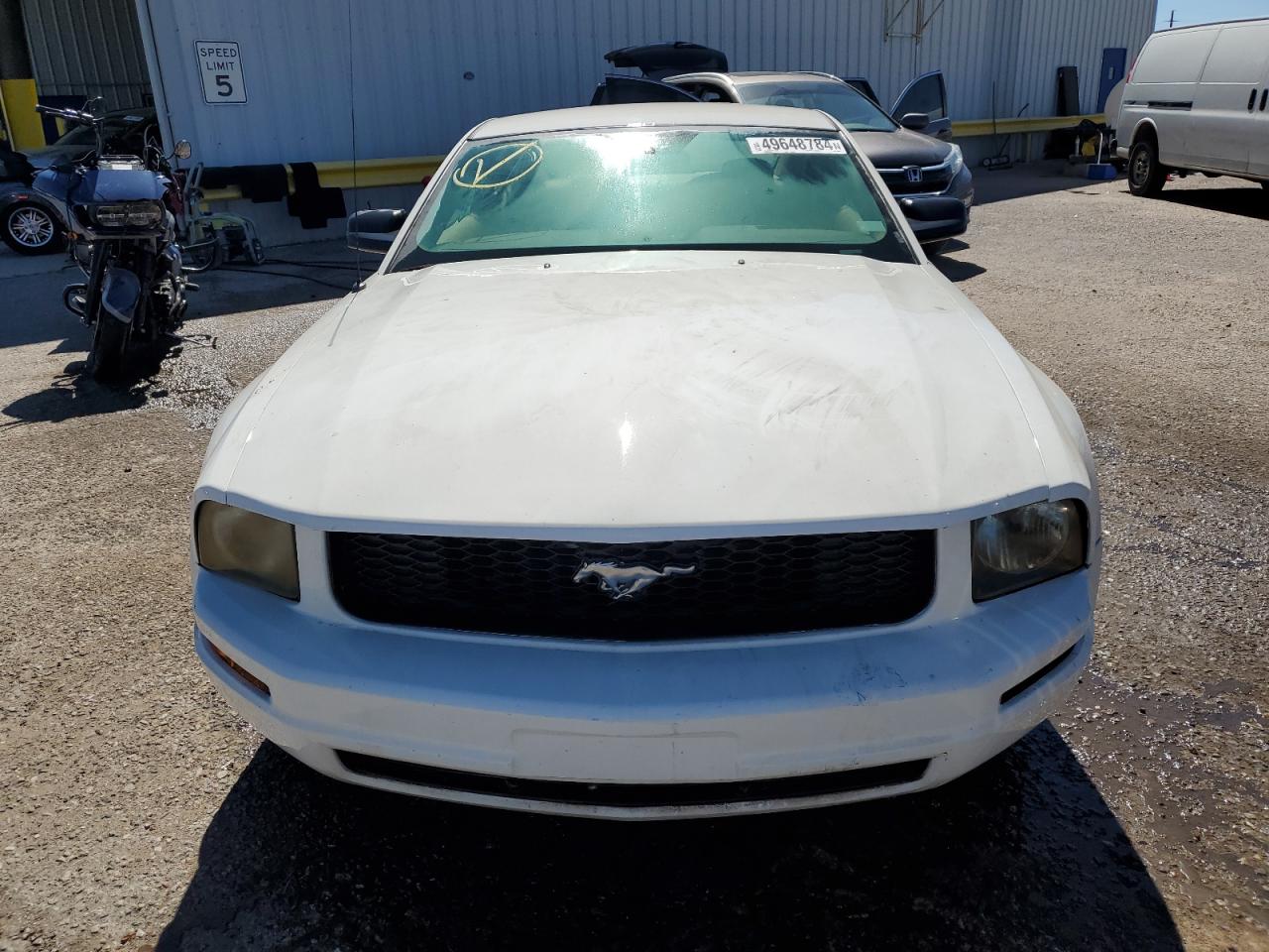 Photo 4 VIN: 1ZVFT80N655116466 - FORD MUSTANG 