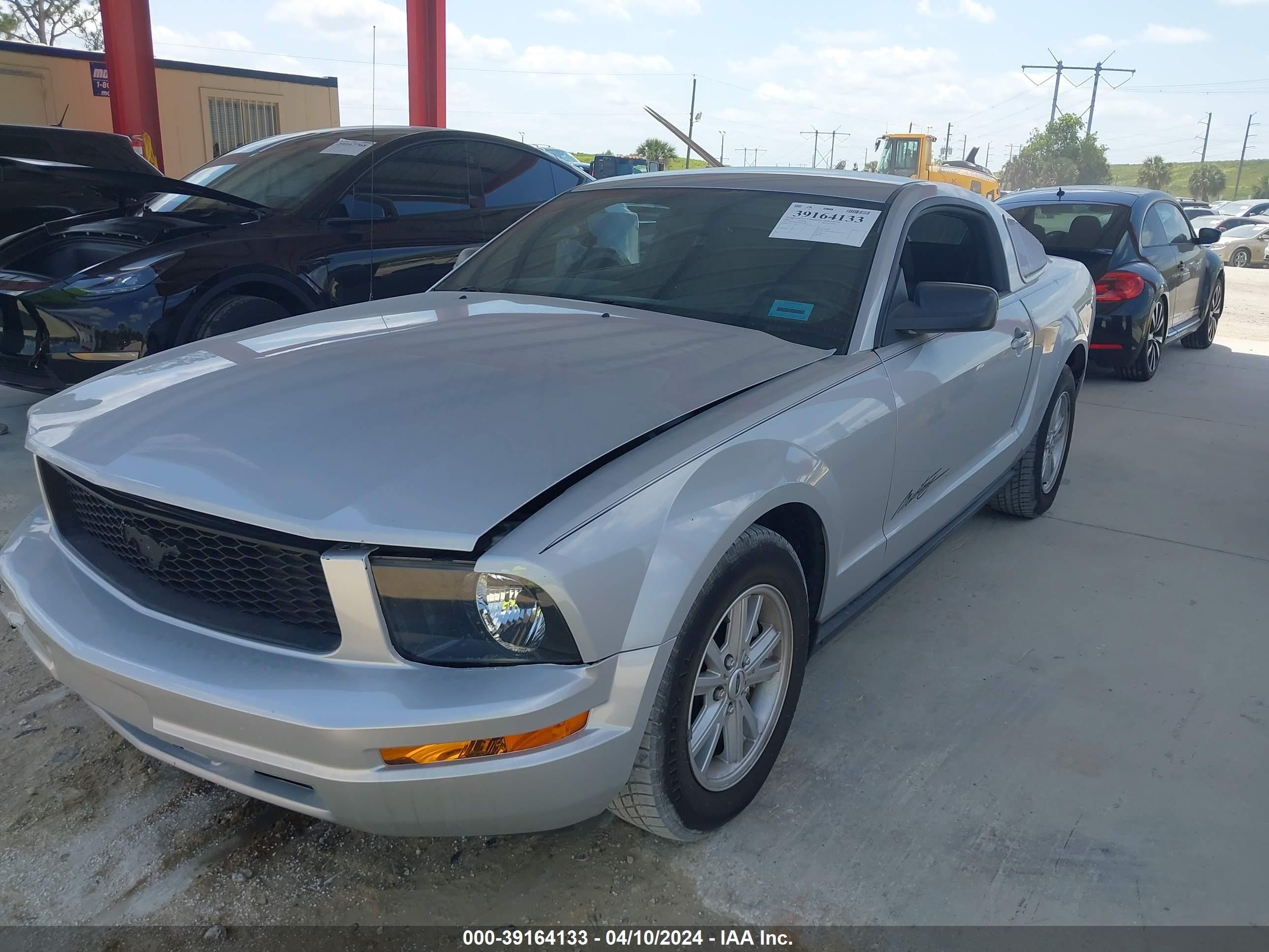 Photo 1 VIN: 1ZVFT80N655137558 - FORD MUSTANG 