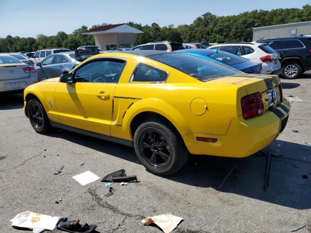 Photo 1 VIN: 1ZVFT80N655137835 - FORD MUSTANG 