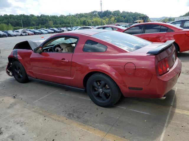 Photo 1 VIN: 1ZVFT80N655154778 - FORD MUSTANG 