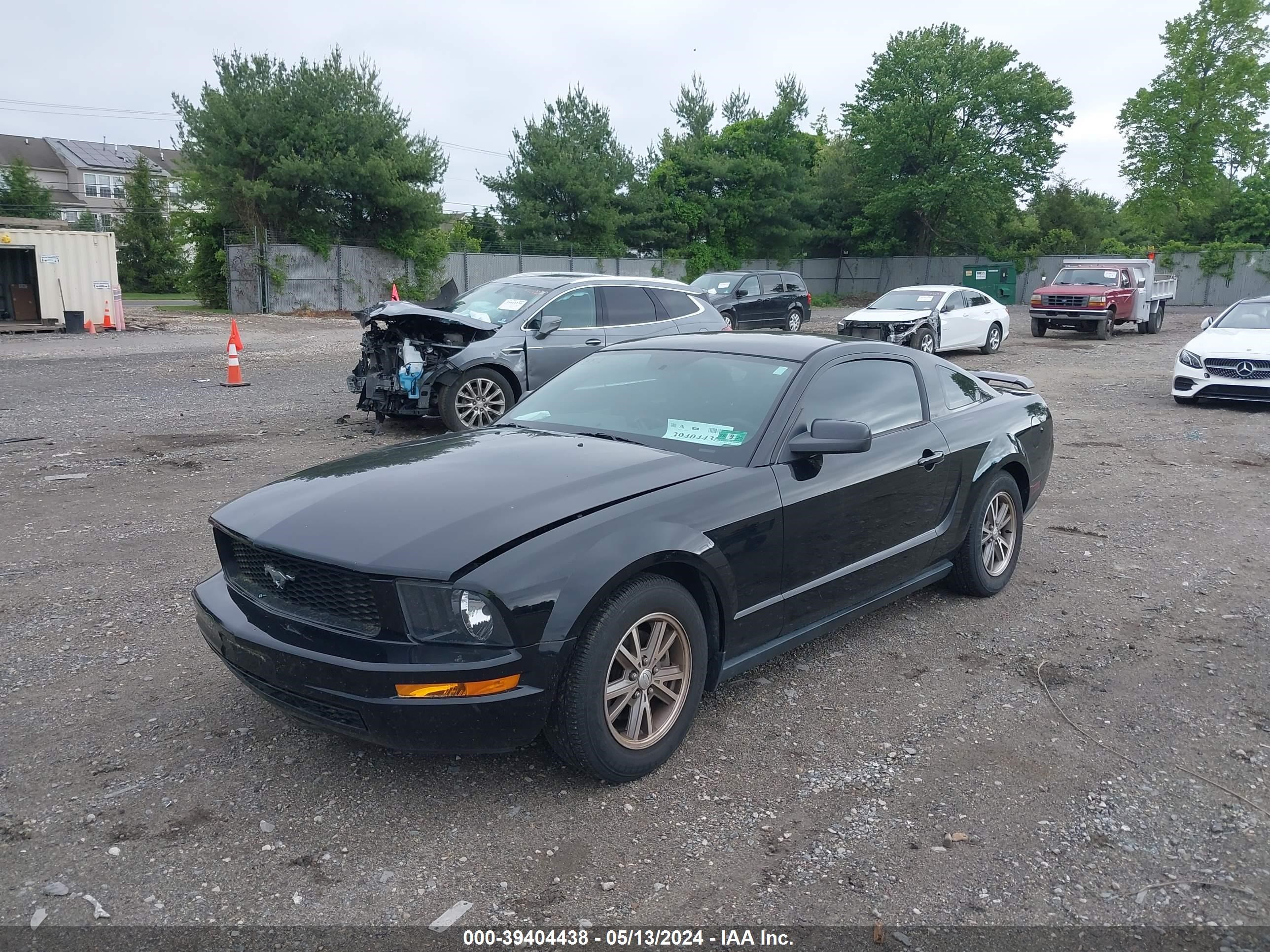 Photo 1 VIN: 1ZVFT80N655162086 - FORD MUSTANG 