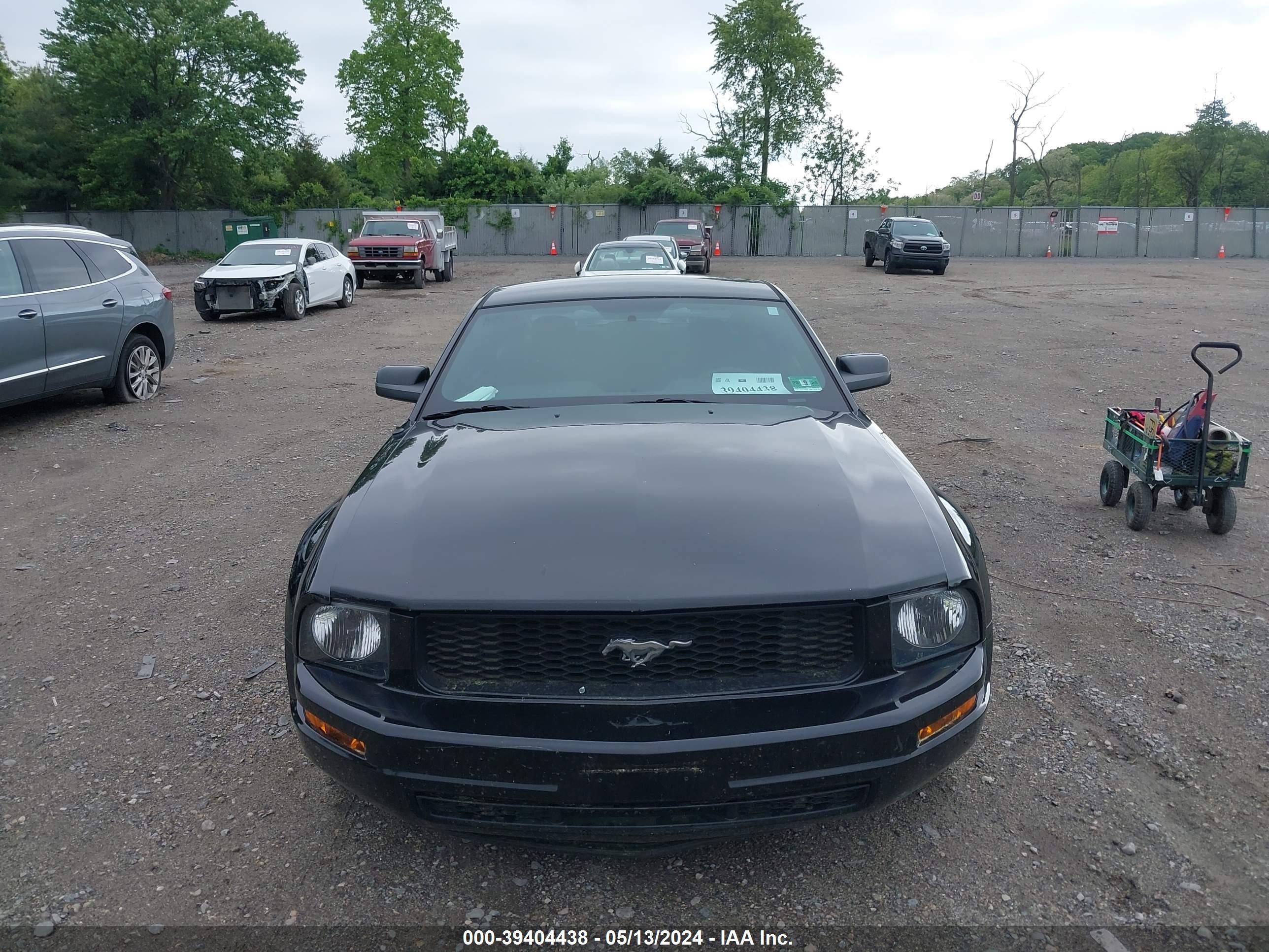 Photo 11 VIN: 1ZVFT80N655162086 - FORD MUSTANG 