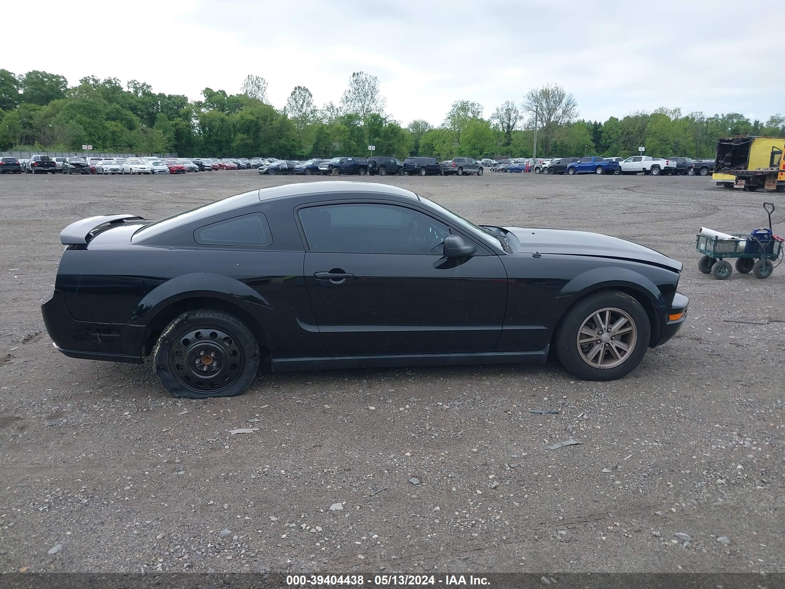 Photo 12 VIN: 1ZVFT80N655162086 - FORD MUSTANG 