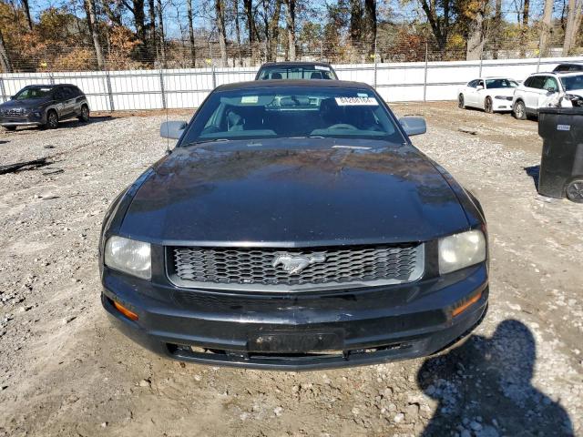 Photo 4 VIN: 1ZVFT80N655229866 - FORD MUSTANG 