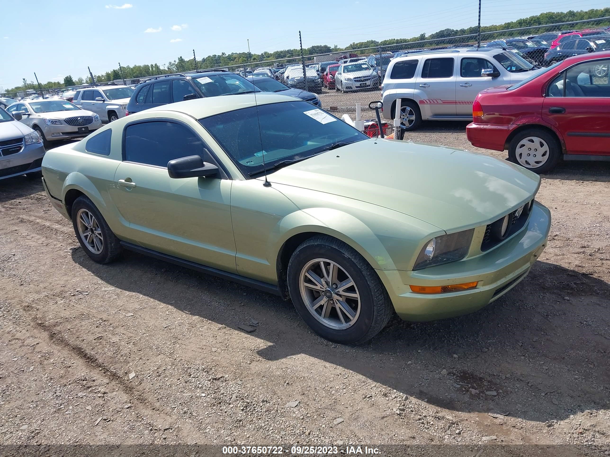 Photo 0 VIN: 1ZVFT80N655237188 - FORD MUSTANG 