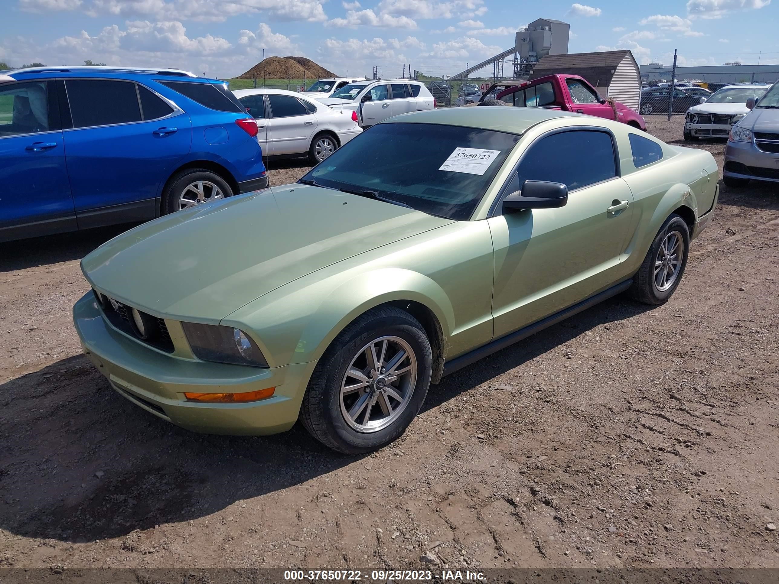 Photo 1 VIN: 1ZVFT80N655237188 - FORD MUSTANG 