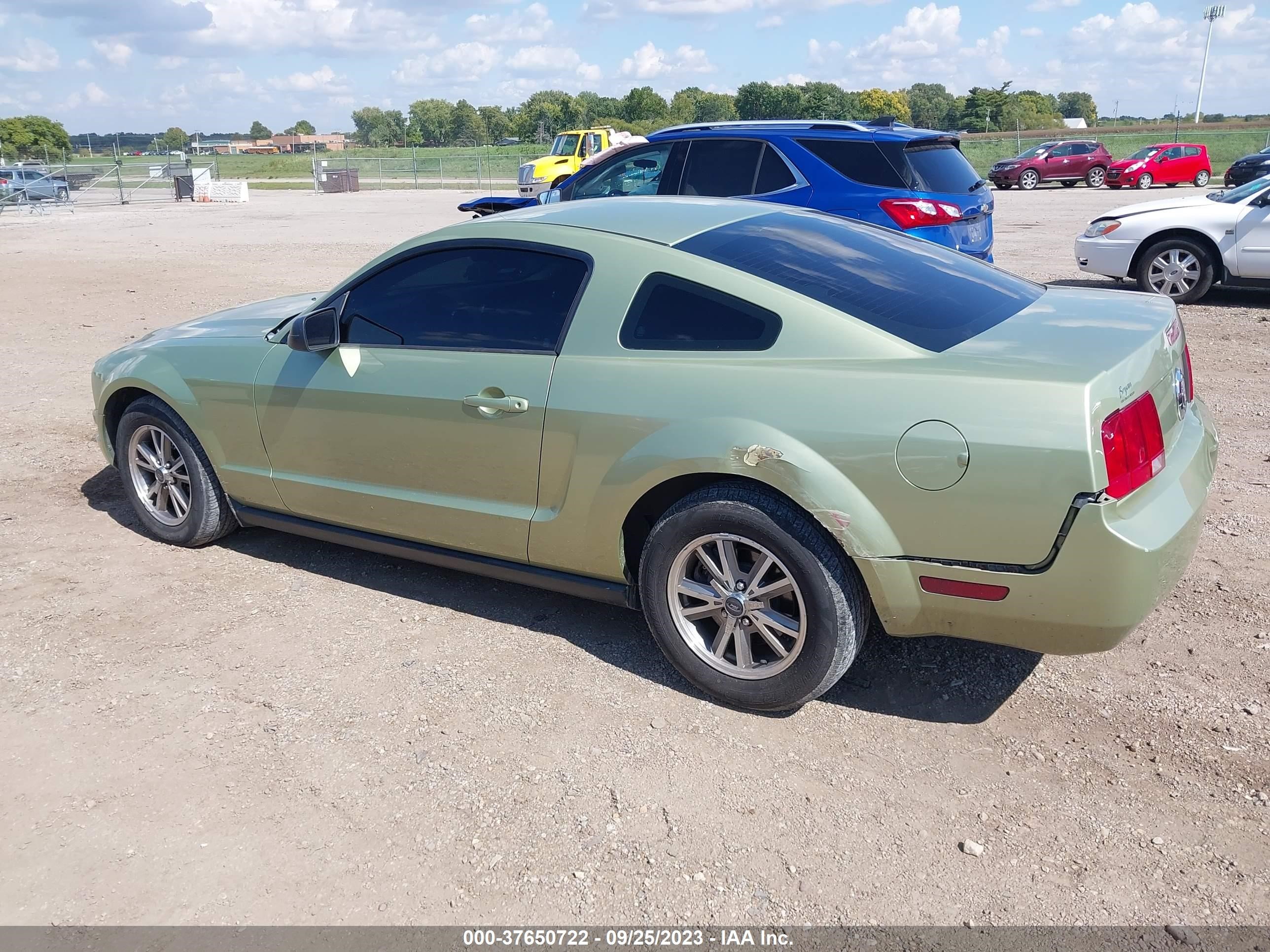 Photo 2 VIN: 1ZVFT80N655237188 - FORD MUSTANG 