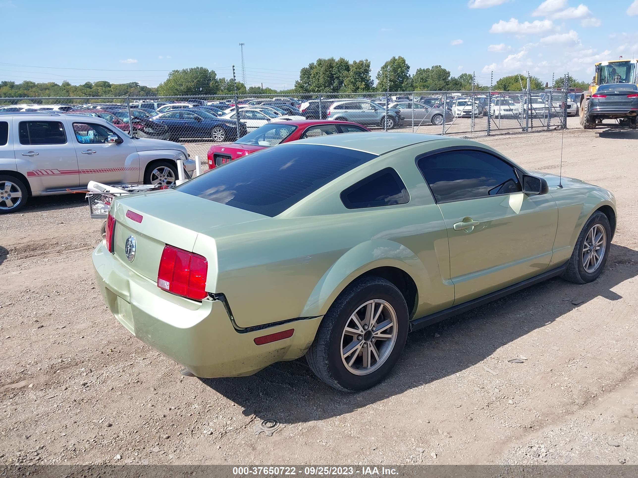 Photo 3 VIN: 1ZVFT80N655237188 - FORD MUSTANG 