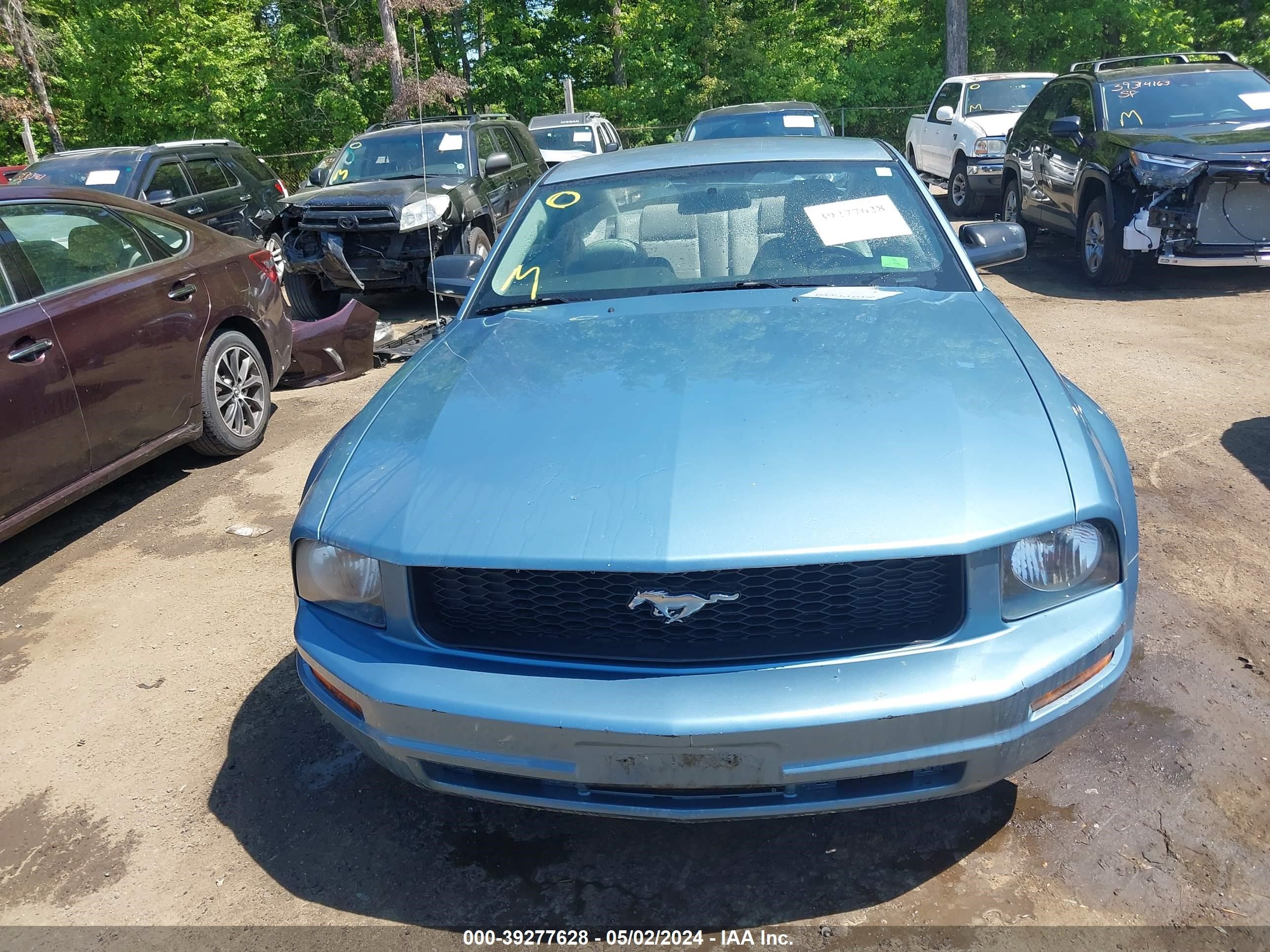 Photo 11 VIN: 1ZVFT80N675249974 - FORD MUSTANG 