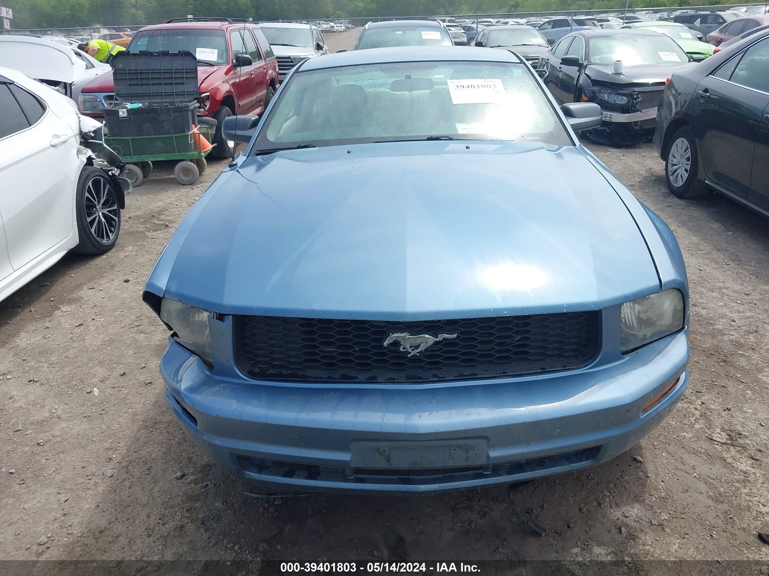 Photo 10 VIN: 1ZVFT80N675264460 - FORD MUSTANG 