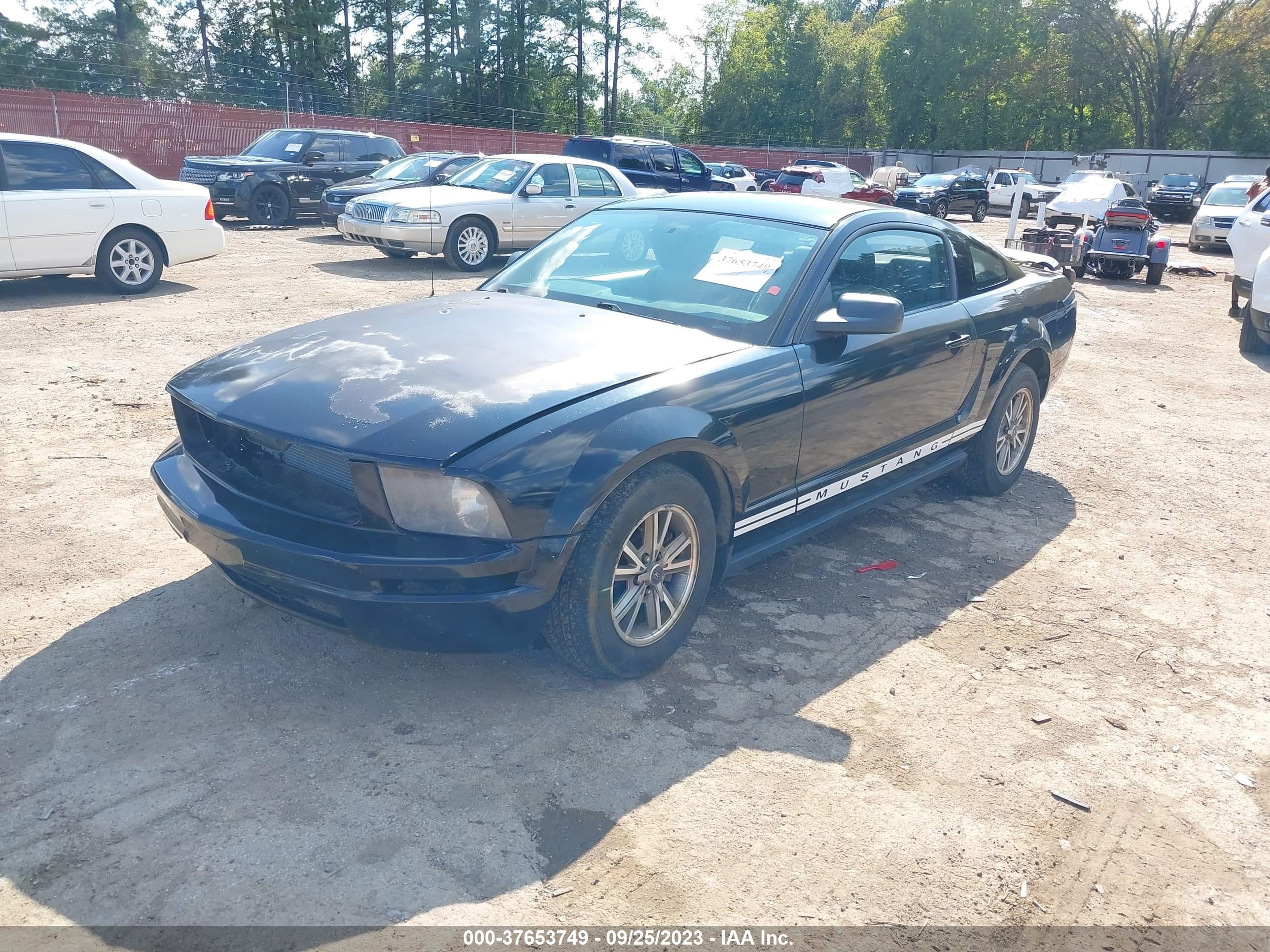 Photo 1 VIN: 1ZVFT80N855142745 - FORD MUSTANG 