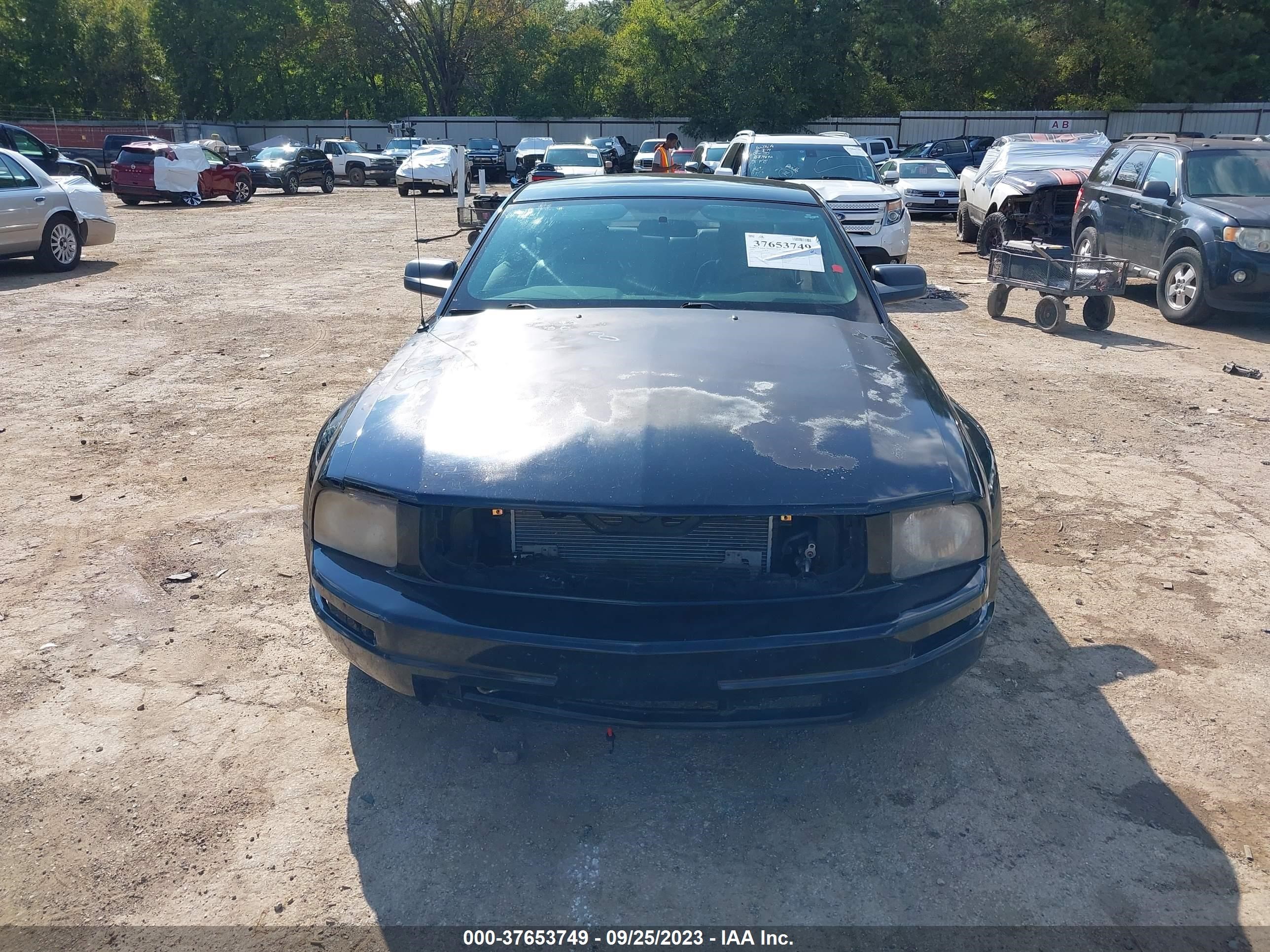 Photo 12 VIN: 1ZVFT80N855142745 - FORD MUSTANG 