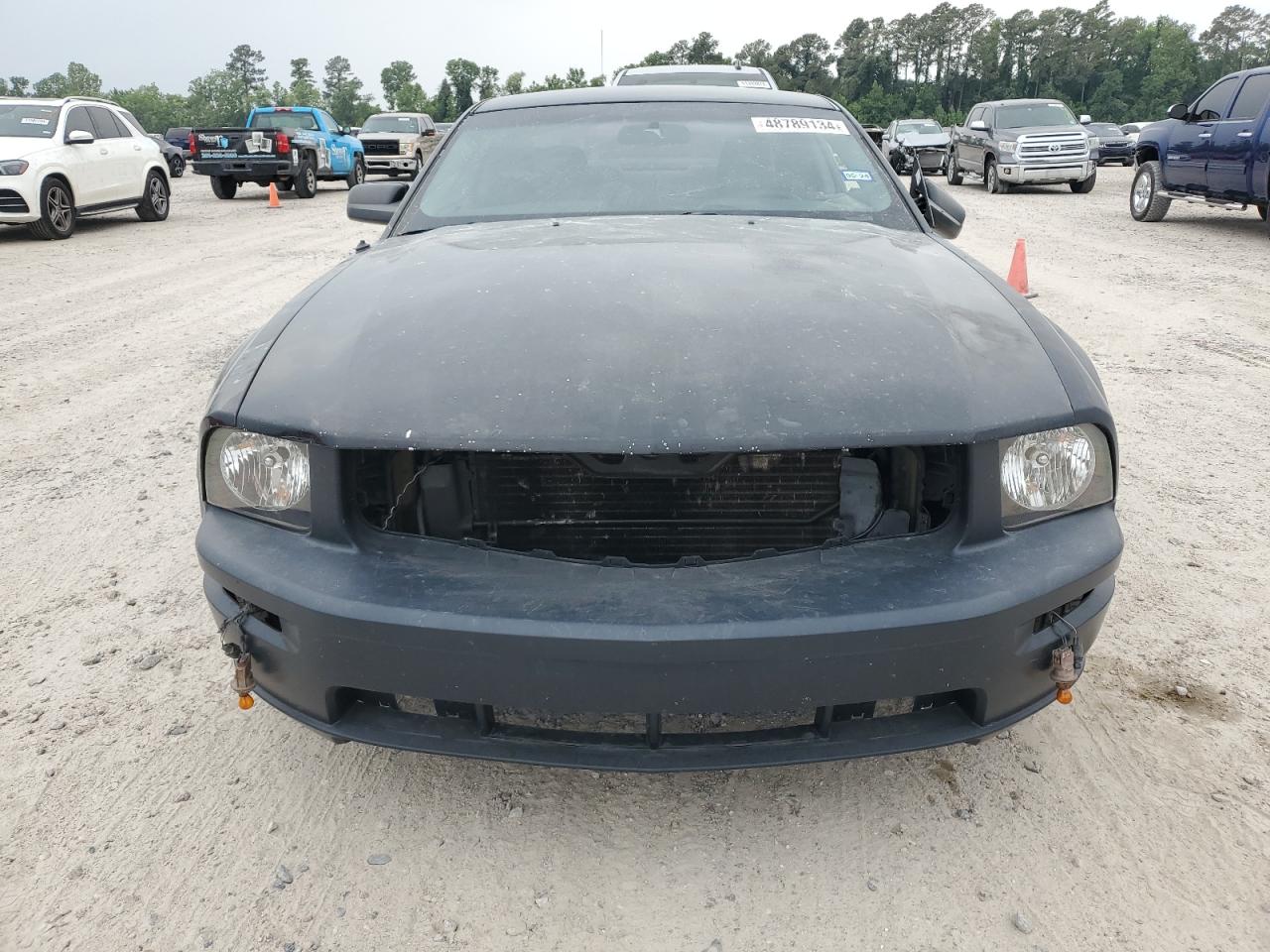 Photo 4 VIN: 1ZVFT80N955170862 - FORD MUSTANG 