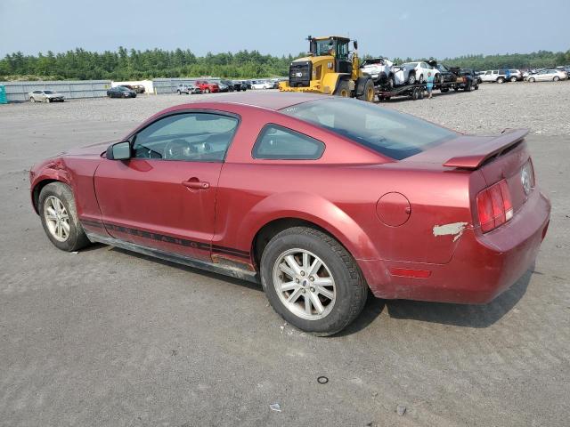 Photo 1 VIN: 1ZVFT80N965117449 - FORD MUSTANG 