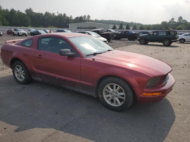 Photo 3 VIN: 1ZVFT80N965117449 - FORD MUSTANG 