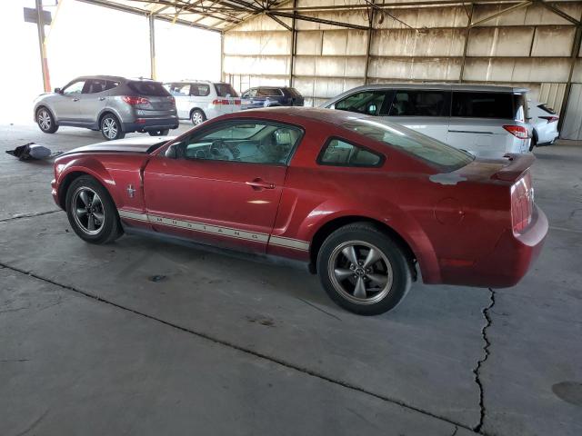 Photo 1 VIN: 1ZVFT80N965183158 - FORD MUSTANG 