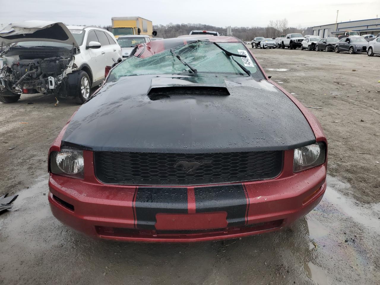 Photo 4 VIN: 1ZVFT80N965212917 - FORD MUSTANG 