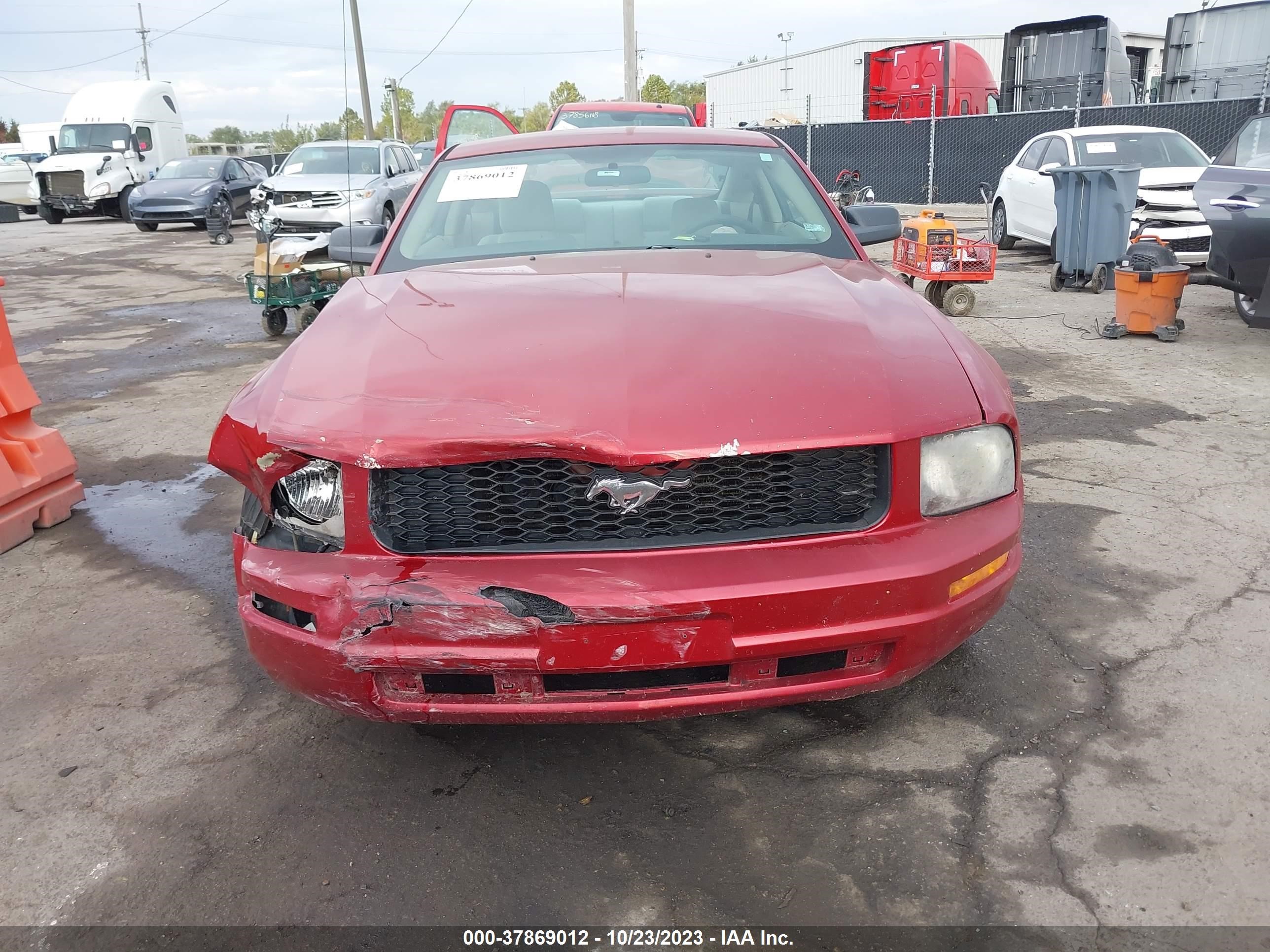 Photo 11 VIN: 1ZVFT80NX55115448 - FORD MUSTANG 