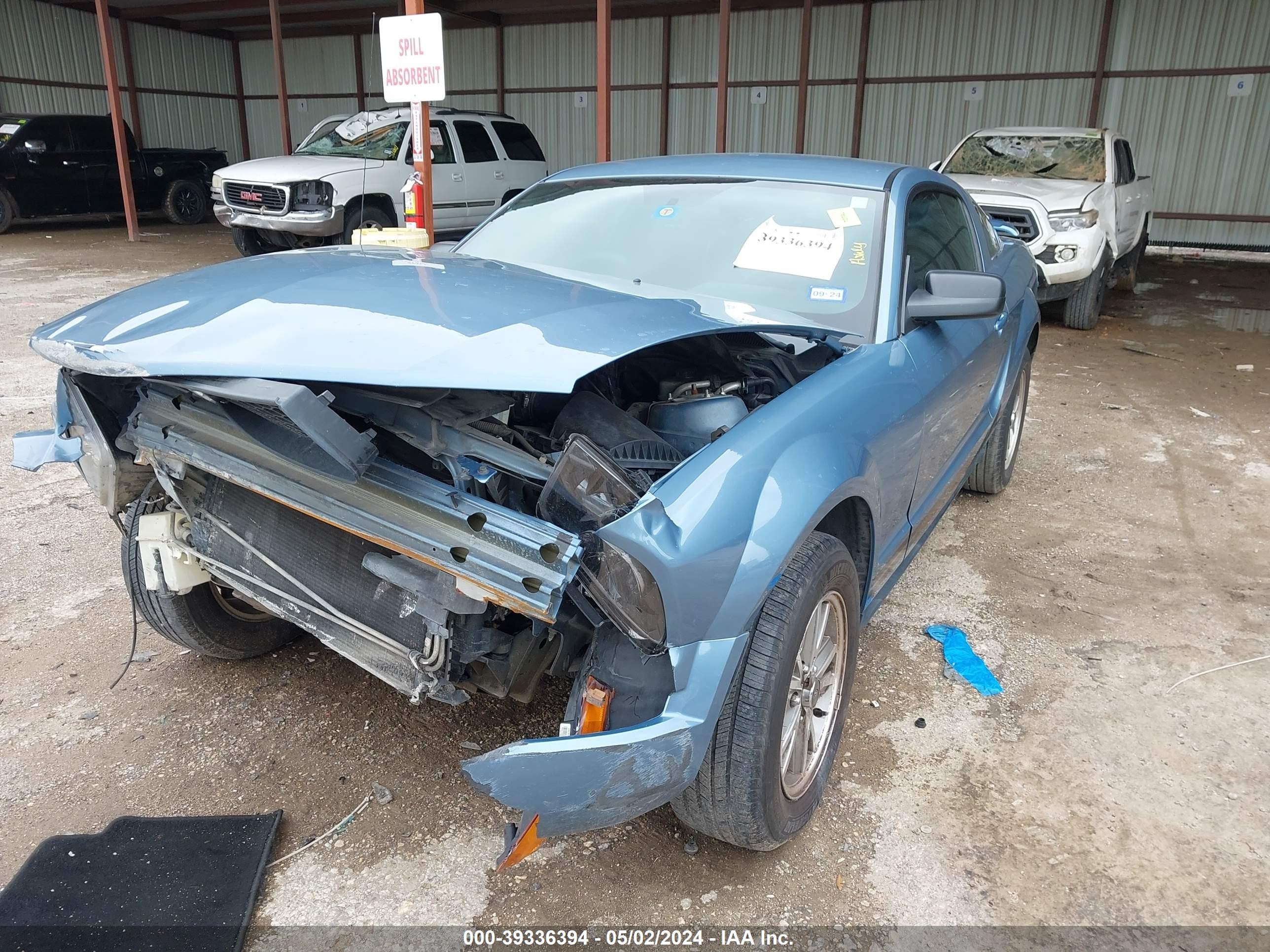 Photo 1 VIN: 1ZVFT80NX55215100 - FORD MUSTANG 