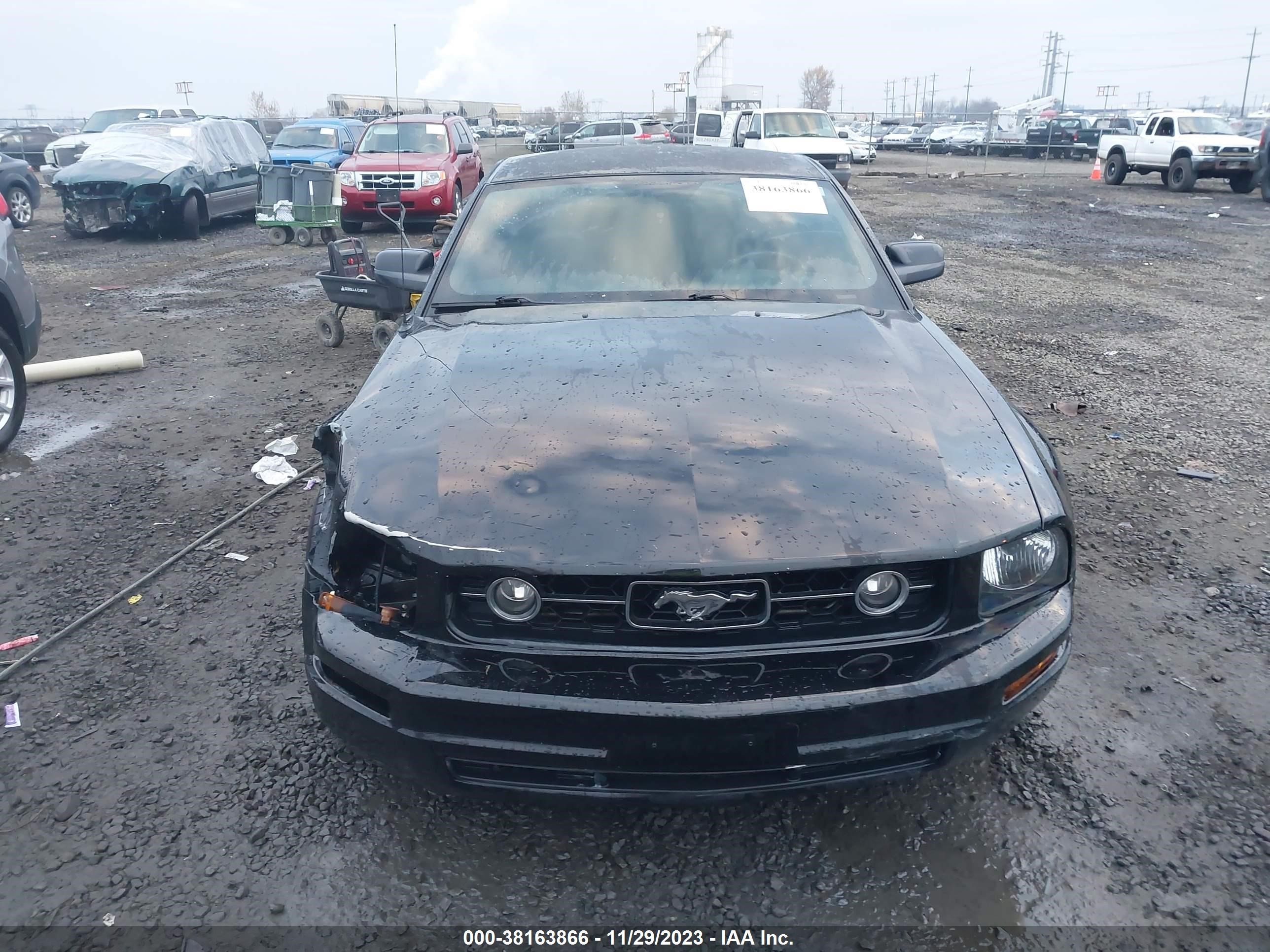 Photo 12 VIN: 1ZVFT80NX65116195 - FORD MUSTANG 