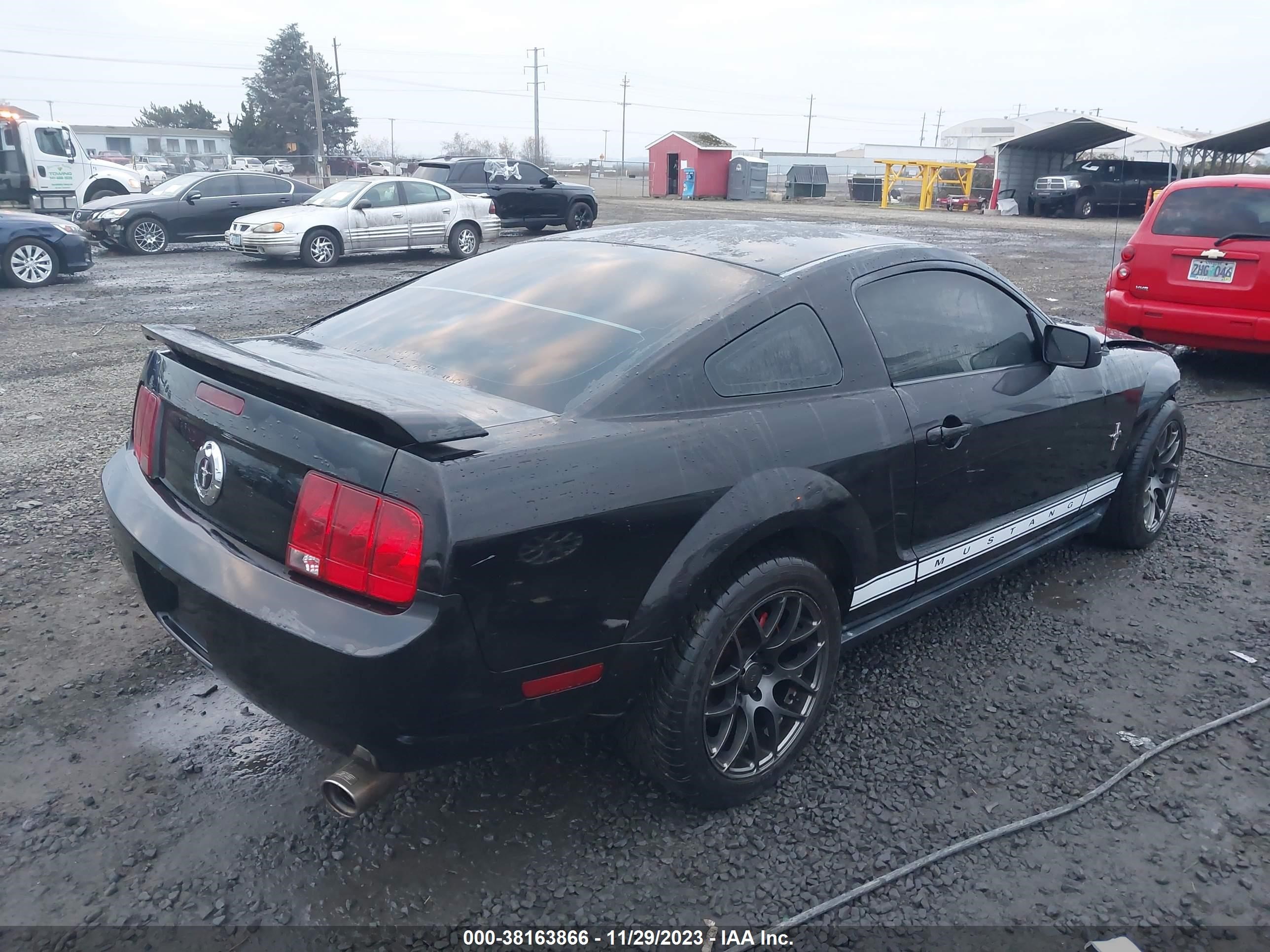 Photo 3 VIN: 1ZVFT80NX65116195 - FORD MUSTANG 