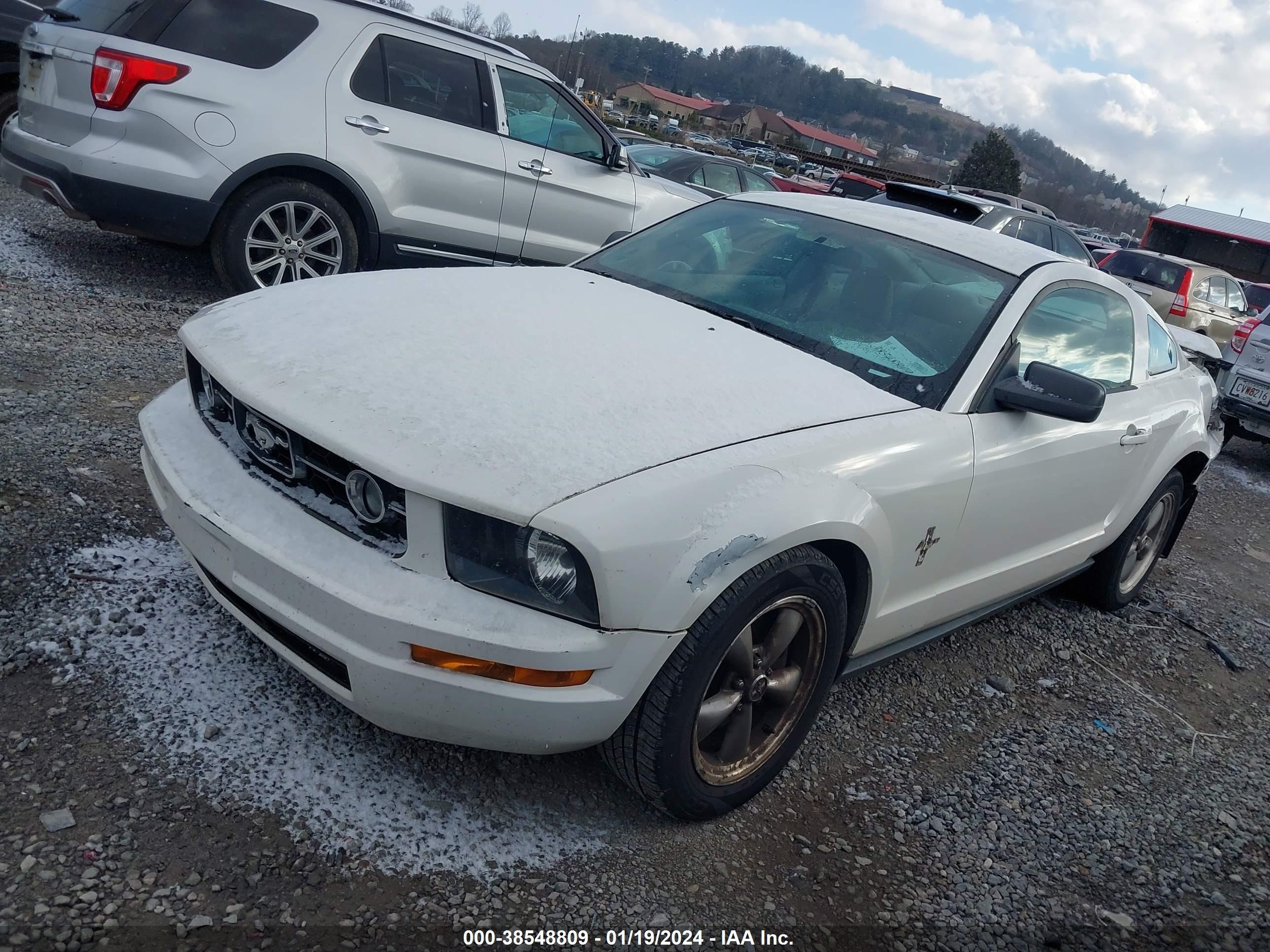 Photo 1 VIN: 1ZVFT80NX65191673 - FORD MUSTANG 