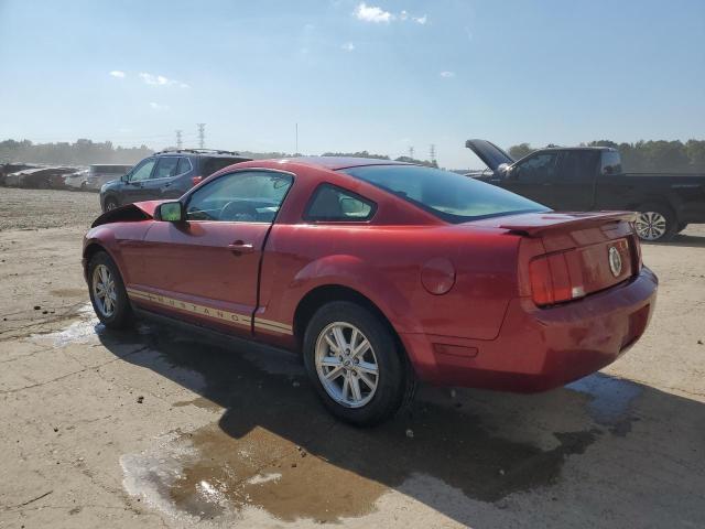 Photo 1 VIN: 1ZVFT80NX75242381 - FORD MUSTANG 