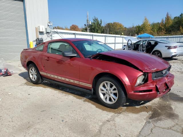 Photo 3 VIN: 1ZVFT80NX75242381 - FORD MUSTANG 