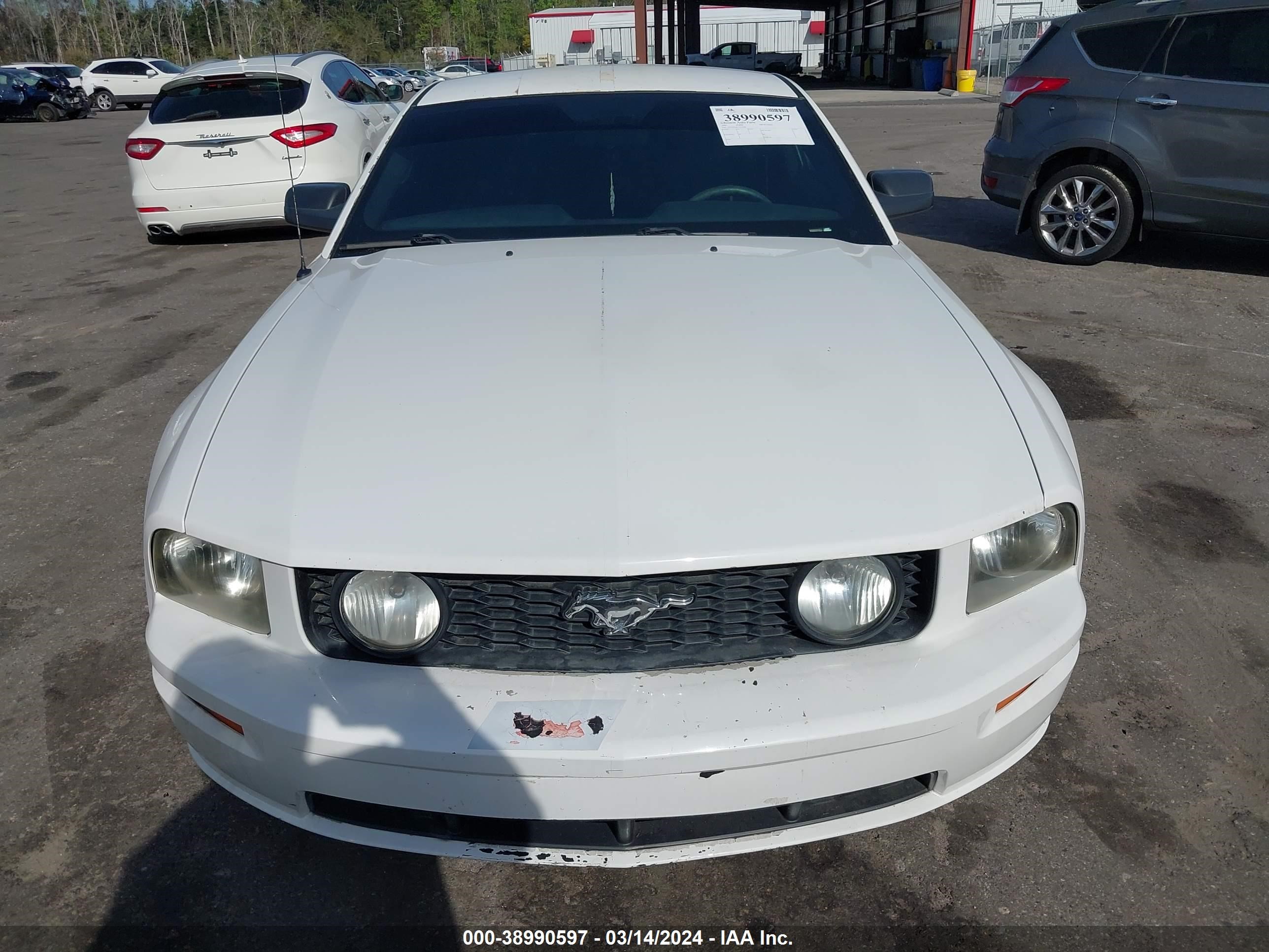 Photo 5 VIN: 1ZVFT82H075234488 - FORD MUSTANG 