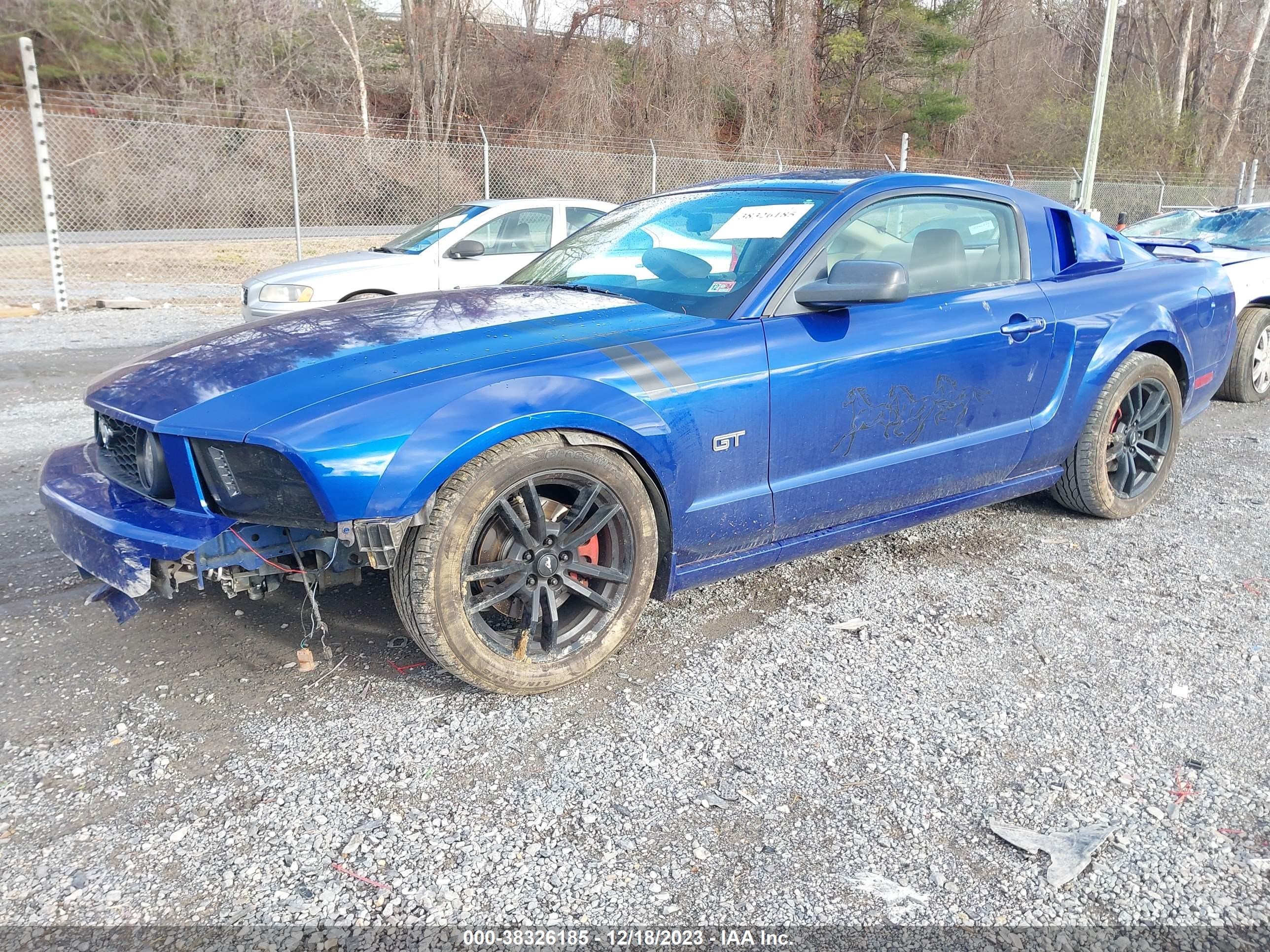 Photo 1 VIN: 1ZVFT82H155146448 - FORD MUSTANG 