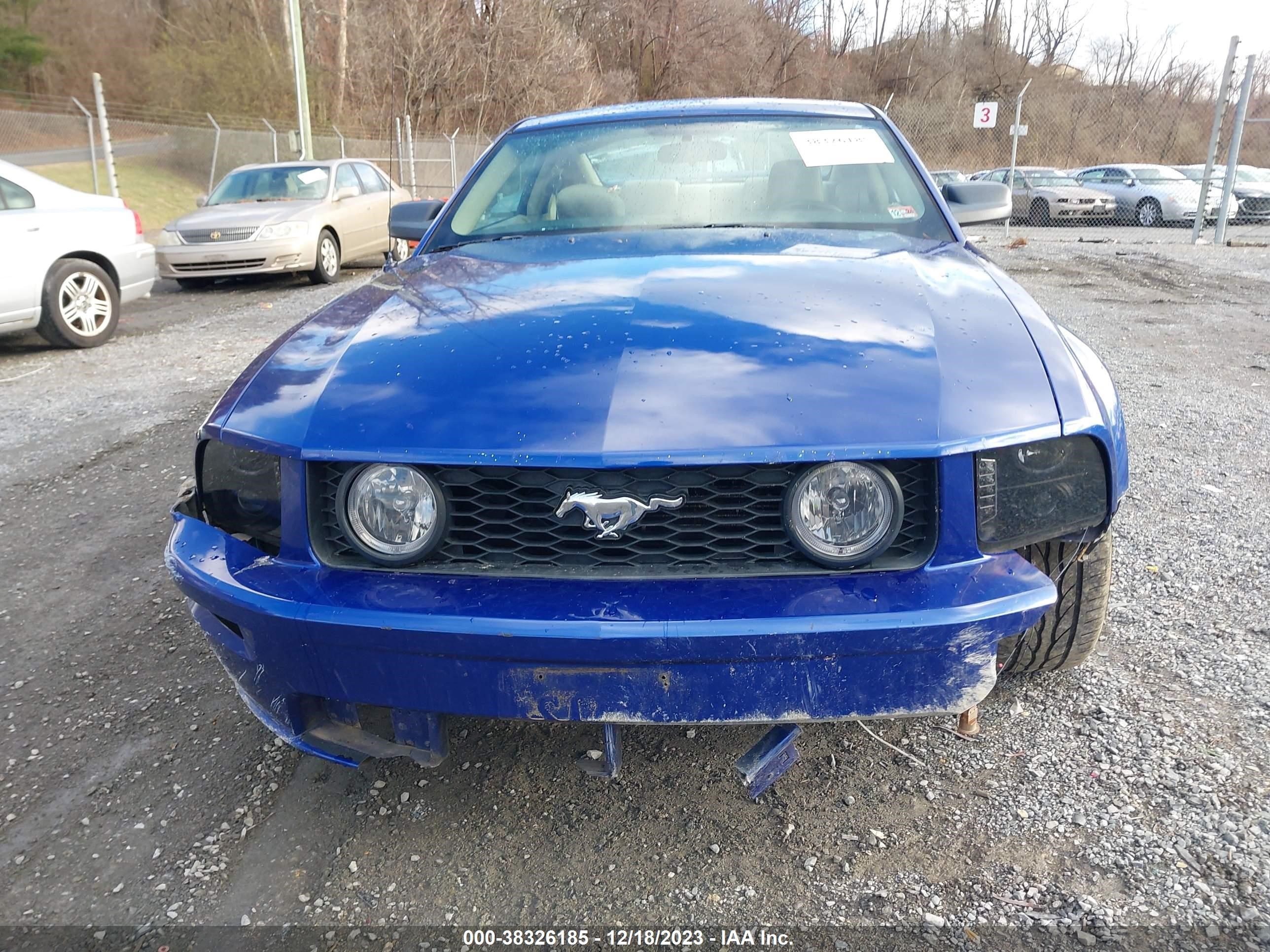 Photo 11 VIN: 1ZVFT82H155146448 - FORD MUSTANG 