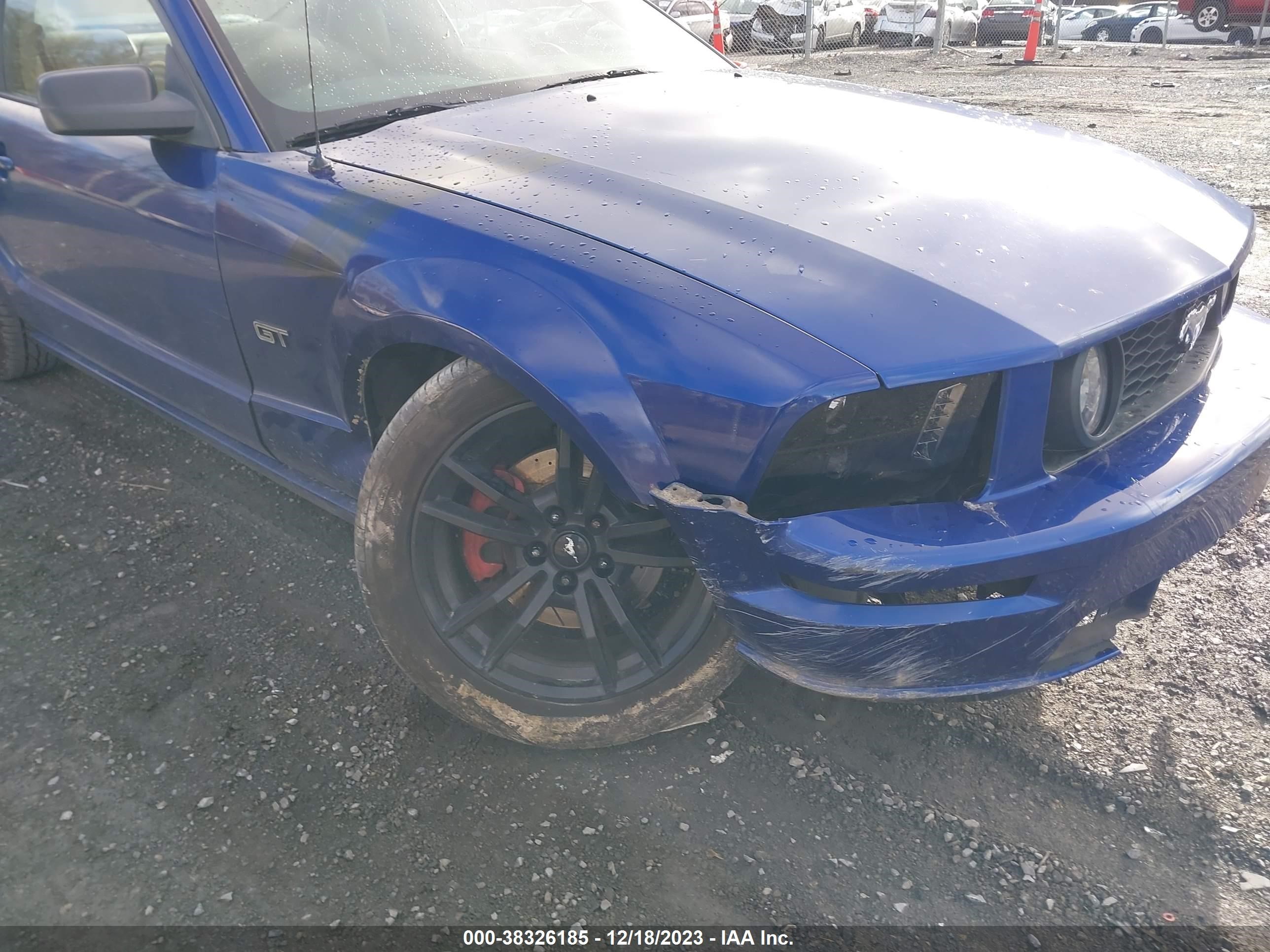 Photo 5 VIN: 1ZVFT82H155146448 - FORD MUSTANG 