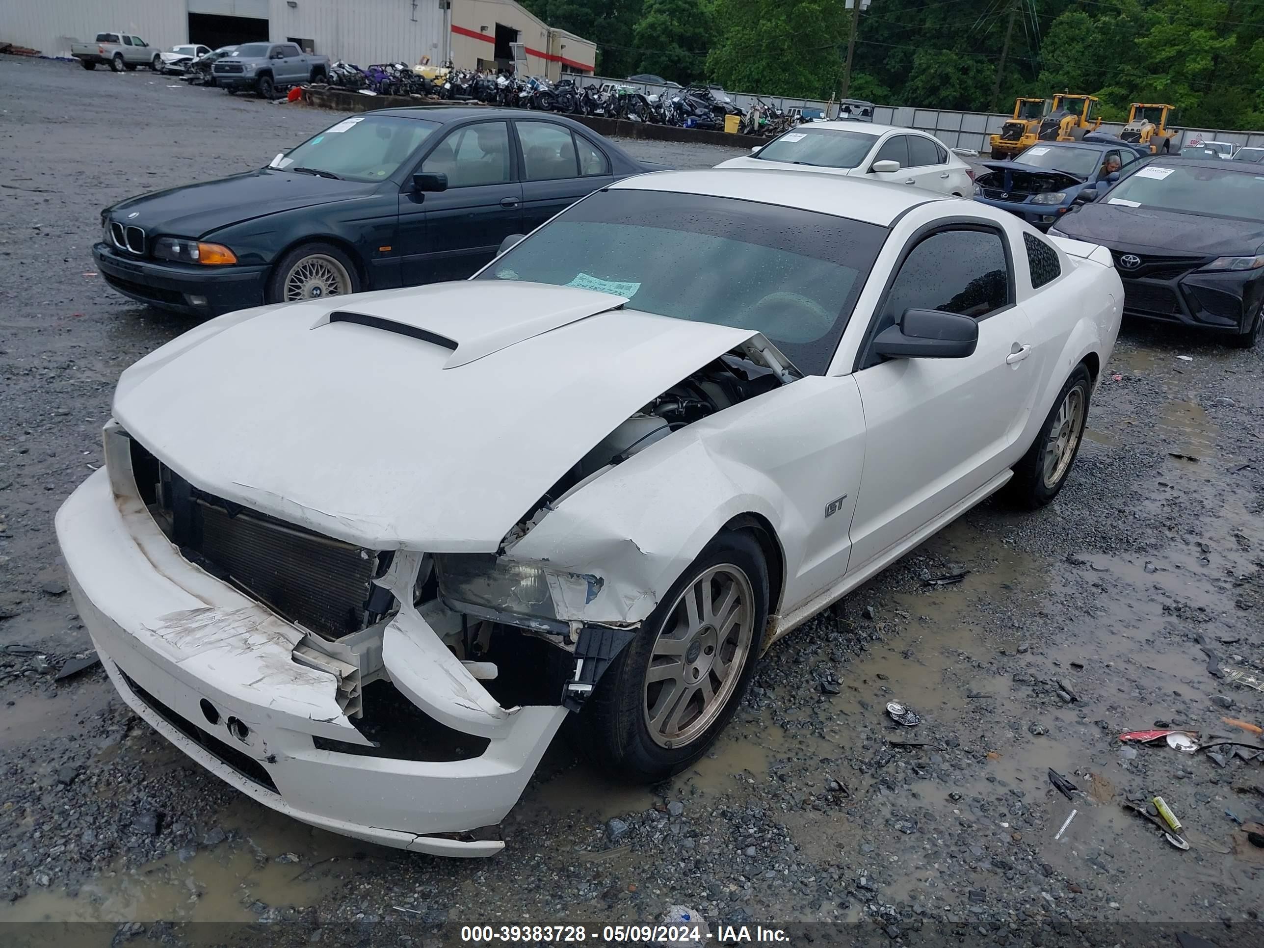 Photo 1 VIN: 1ZVFT82H165151148 - FORD MUSTANG 