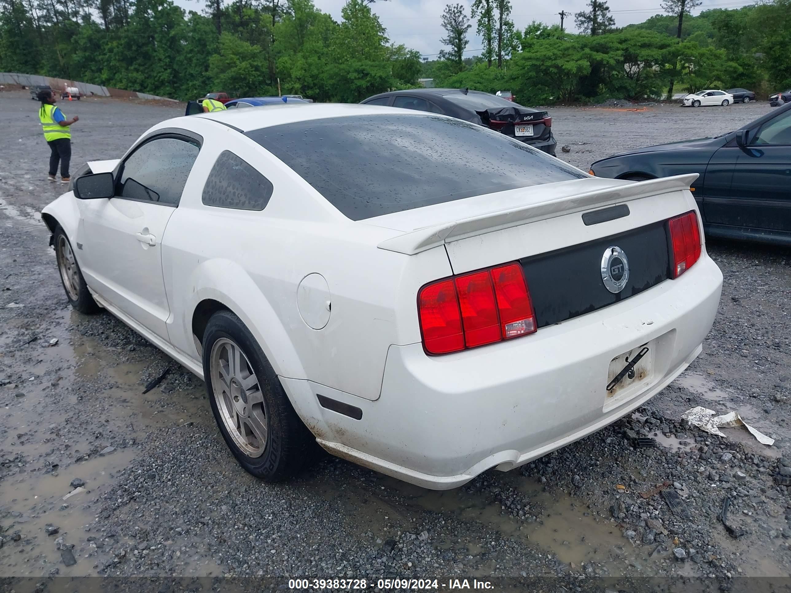 Photo 2 VIN: 1ZVFT82H165151148 - FORD MUSTANG 