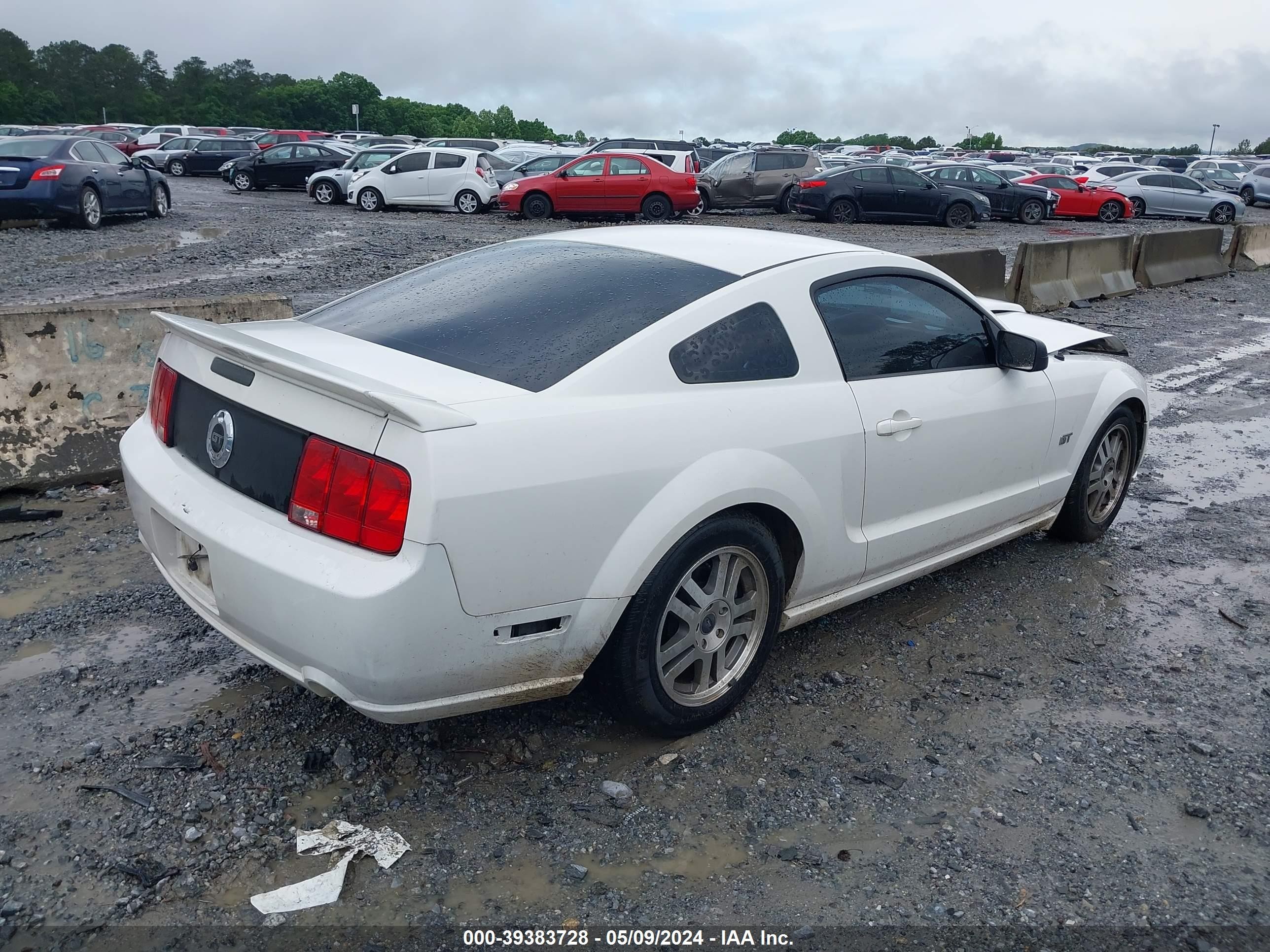 Photo 3 VIN: 1ZVFT82H165151148 - FORD MUSTANG 