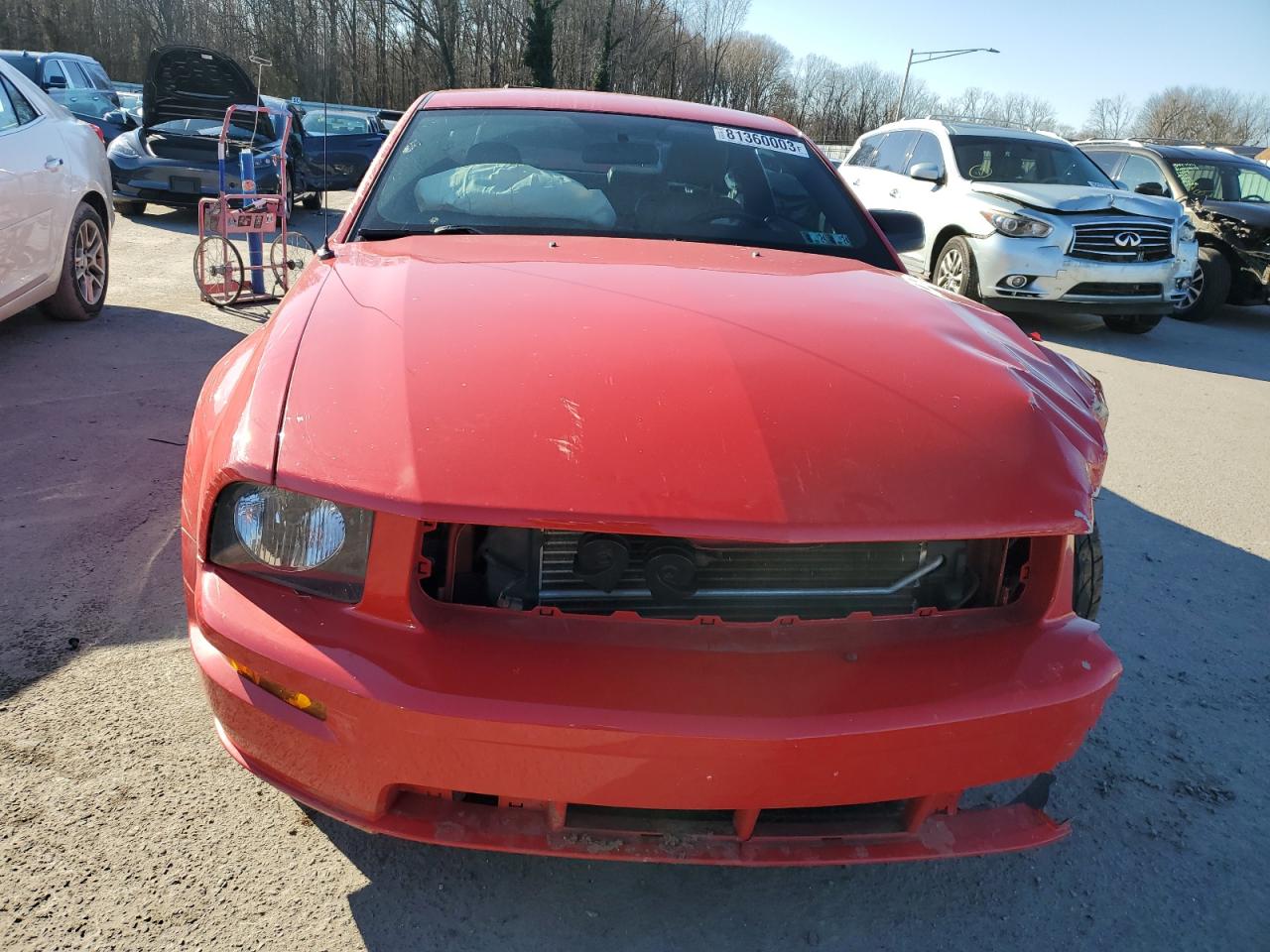 Photo 4 VIN: 1ZVFT82H165191410 - FORD MUSTANG 