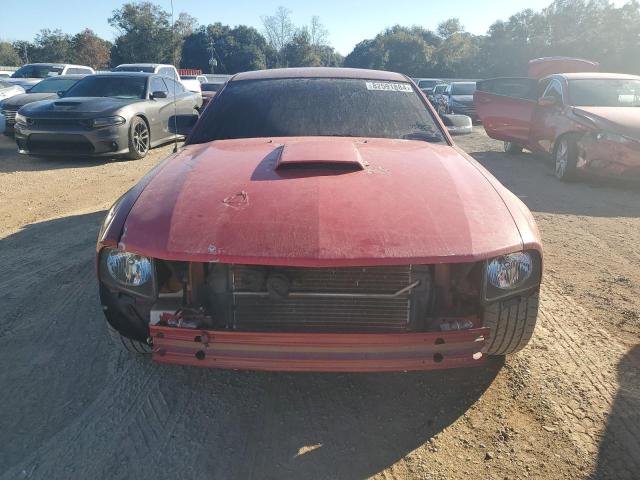 Photo 4 VIN: 1ZVFT82H175304922 - FORD MUSTANG GT 