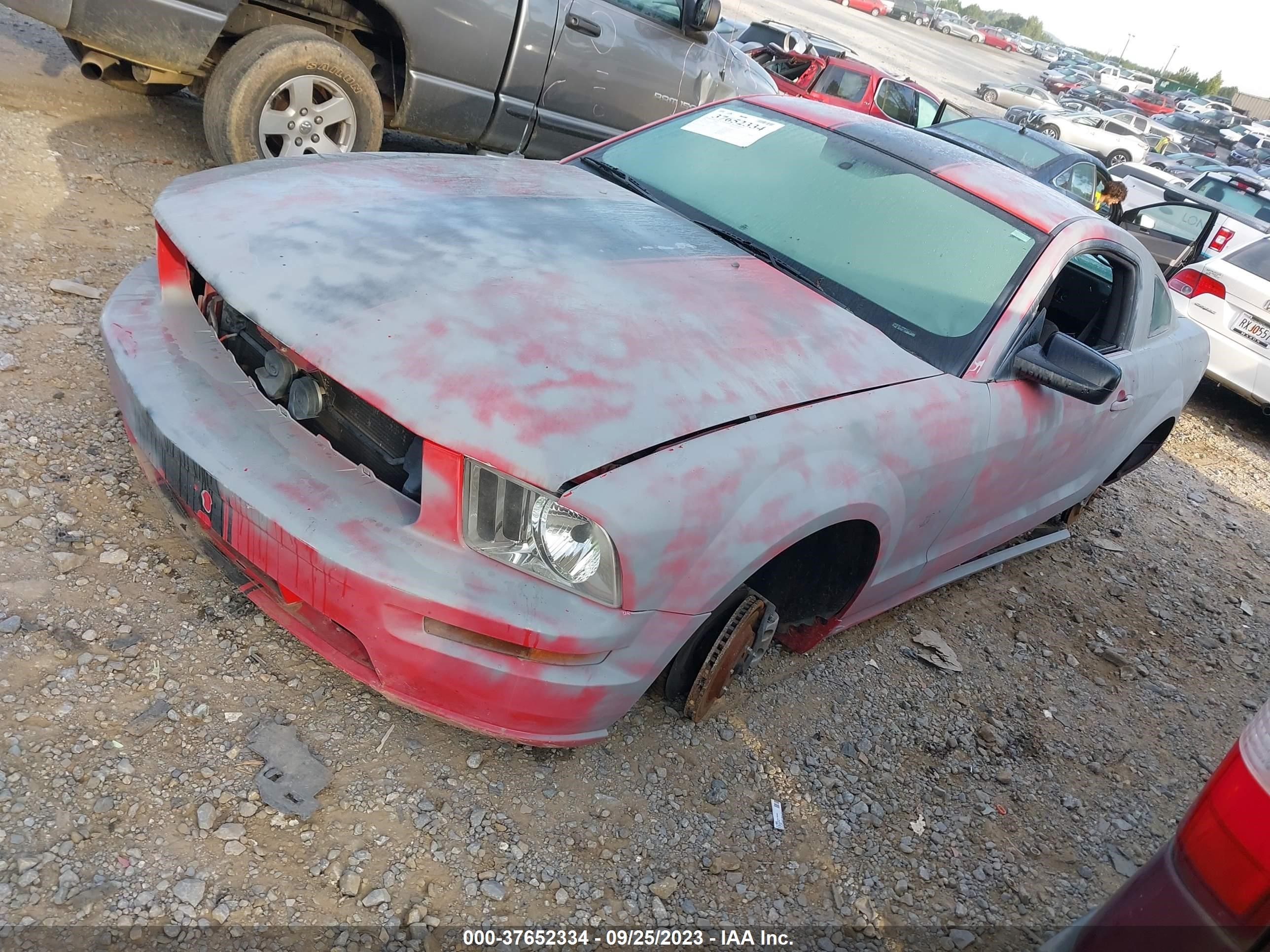 Photo 1 VIN: 1ZVFT82H255132803 - FORD MUSTANG 